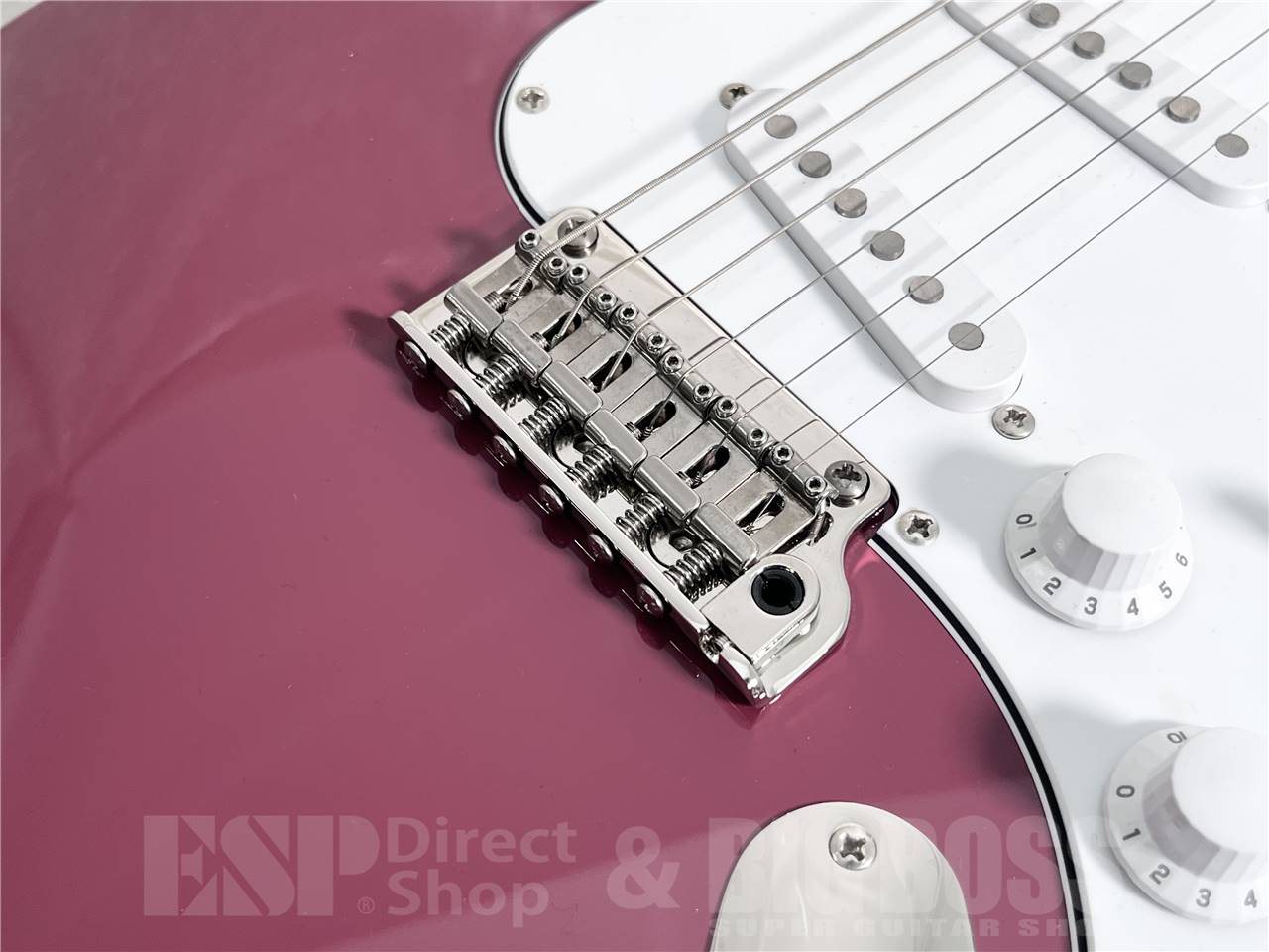 【即納可能】Paul Reed Smith (ポールリードスミス/PRS) SE Silver Sky Rosewood / Derby Red (2025年製) お茶の水駅前店・別館 - 5