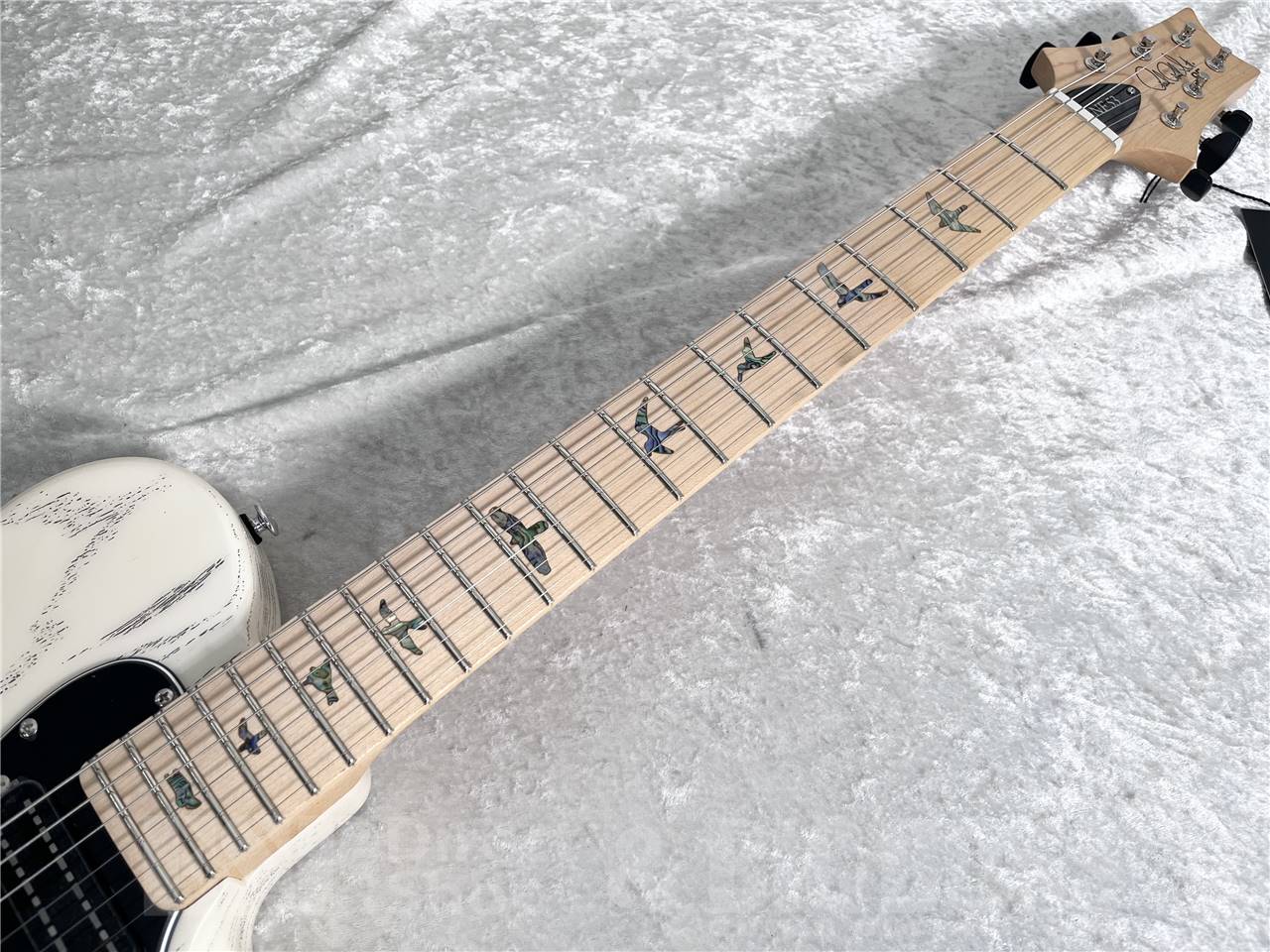 【即納可能】Paul Reed Smith (ポールリードスミス/PRS) SE NF 53 / White Doghair (2025年製) お茶の水駅前店・別館 - 9