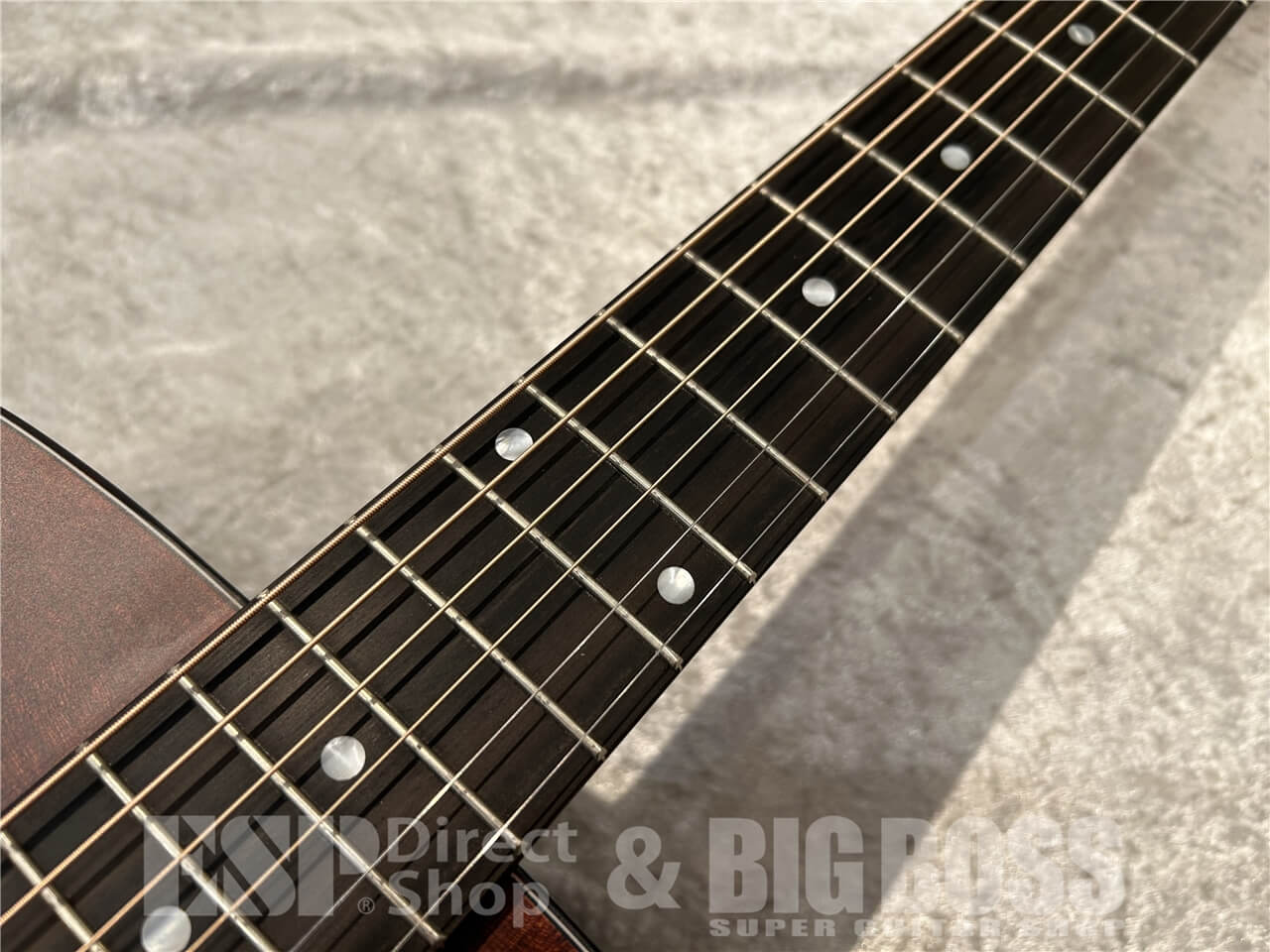 Eastman (イーストマン) E1OM / Classic 仙台店 - 4