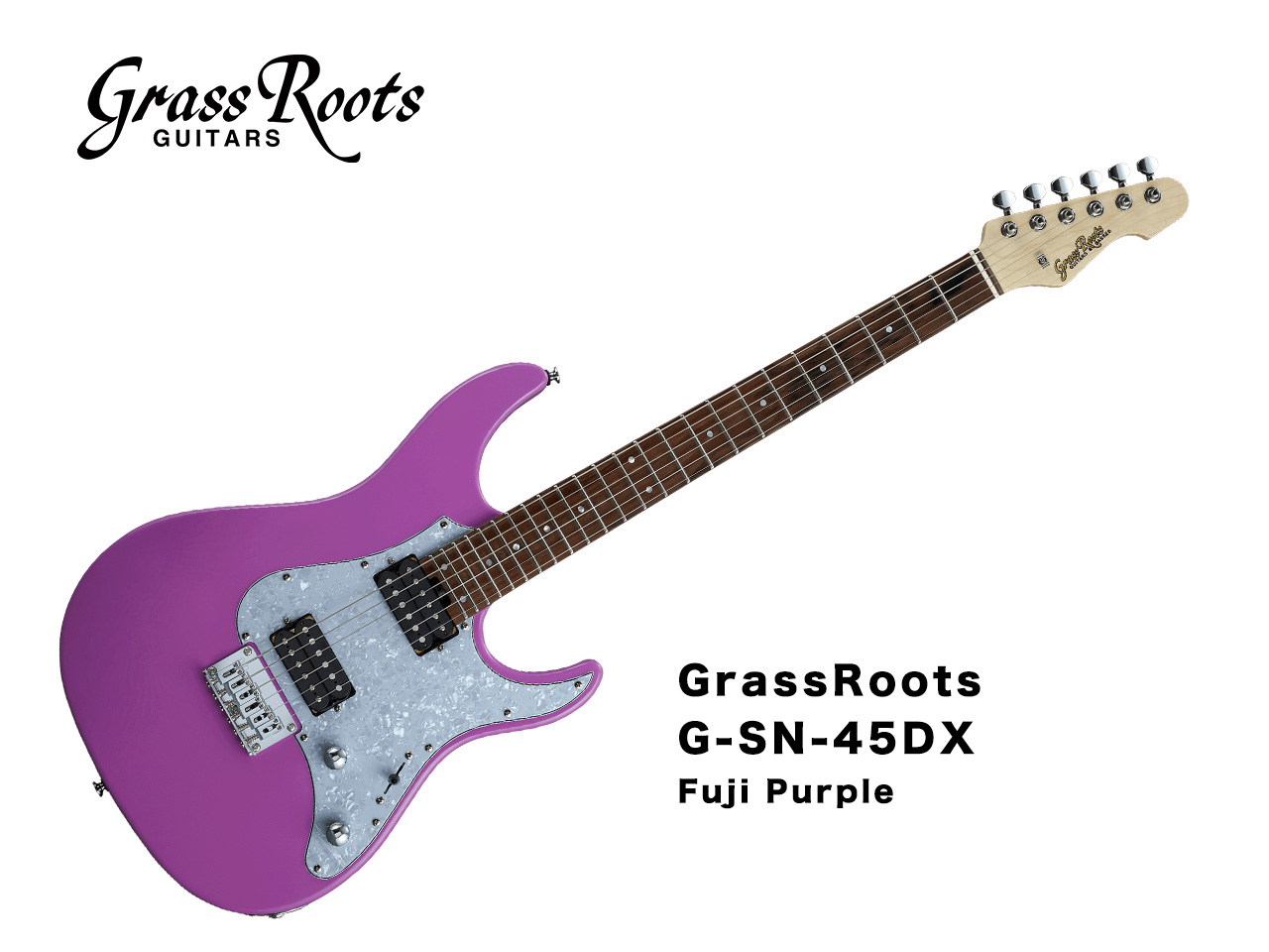 メール便可 2セットまで ESP 新品 GrassRoots(グラスルーツ) / G-SN