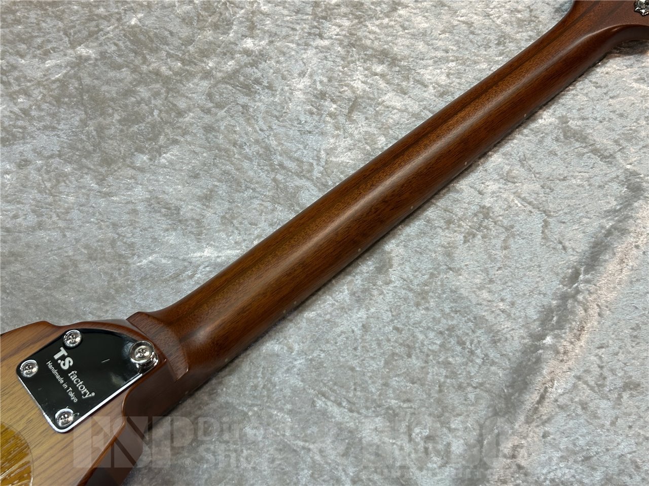 【即納可能】T.S factory(ティーエス ファクトリー) 2025 PROTO RV Type SDGs (Brown Burst) 広島店 - 7