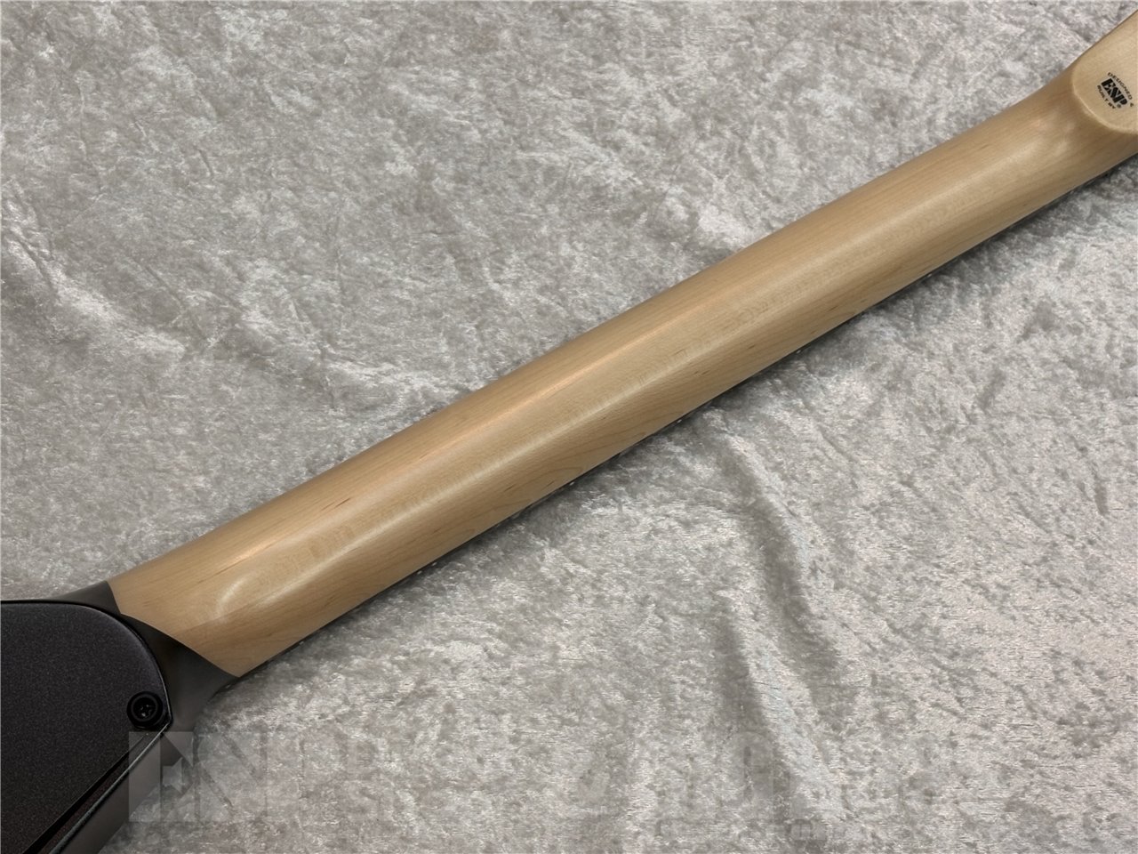 【即納可能】EDWARDS(エドワーズ) E-ALEXI BLACKY (BODOM AFTER MIDNIGHT/Alexi Laihoモデル) 広島店 - 7