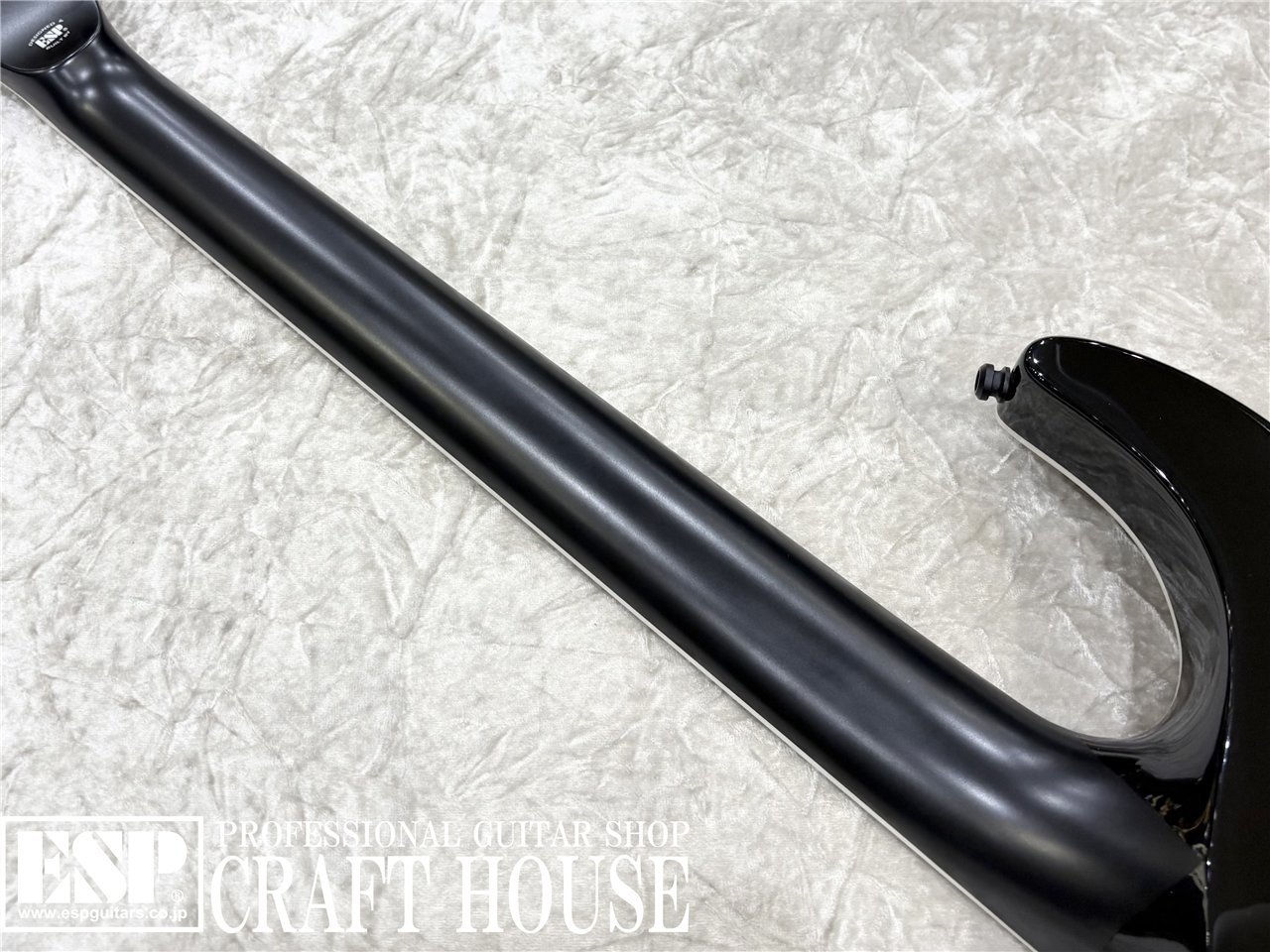 【即納可能】E-II HORIZON NT-II / See Thru Black Cherry Sunburst 渋谷店 - 7