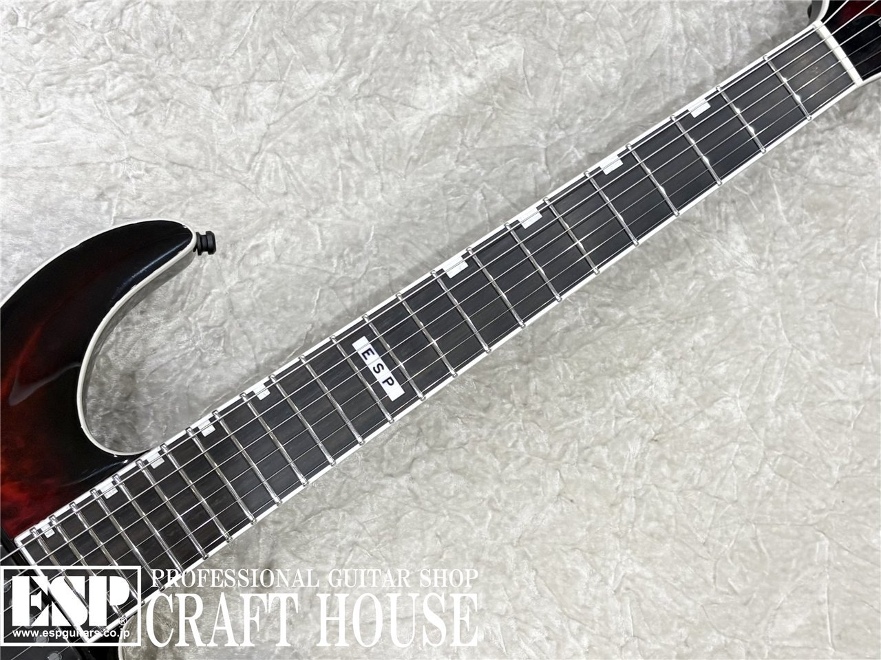 【即納可能】E-II HORIZON NT-II / See Thru Black Cherry Sunburst 渋谷店 - 3