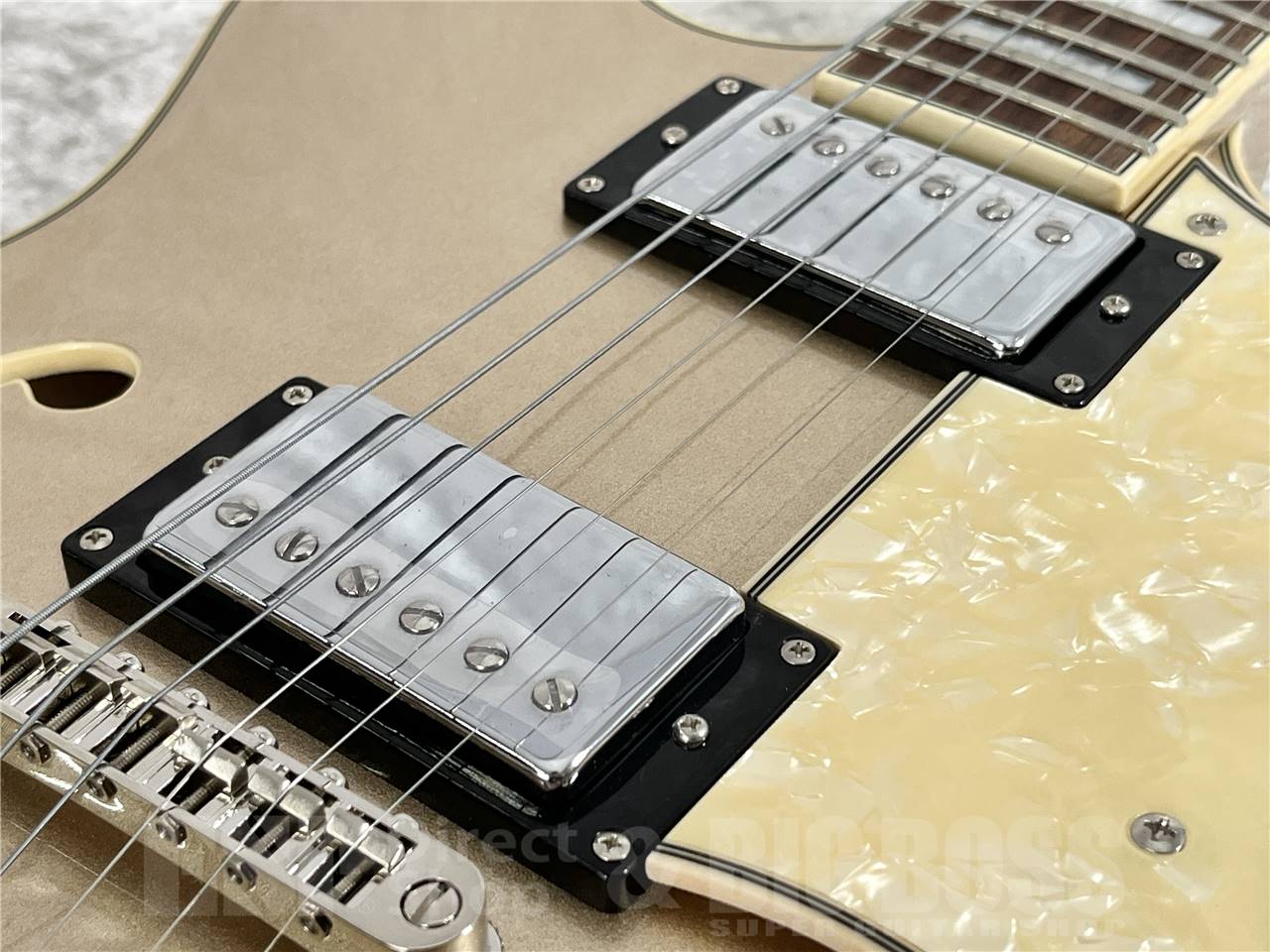 【即納可能/チョイキズ特価】D'Angelico(ディアンジェリコ) Premier DC Desert Gold お茶の水駅前店・別館 - 4