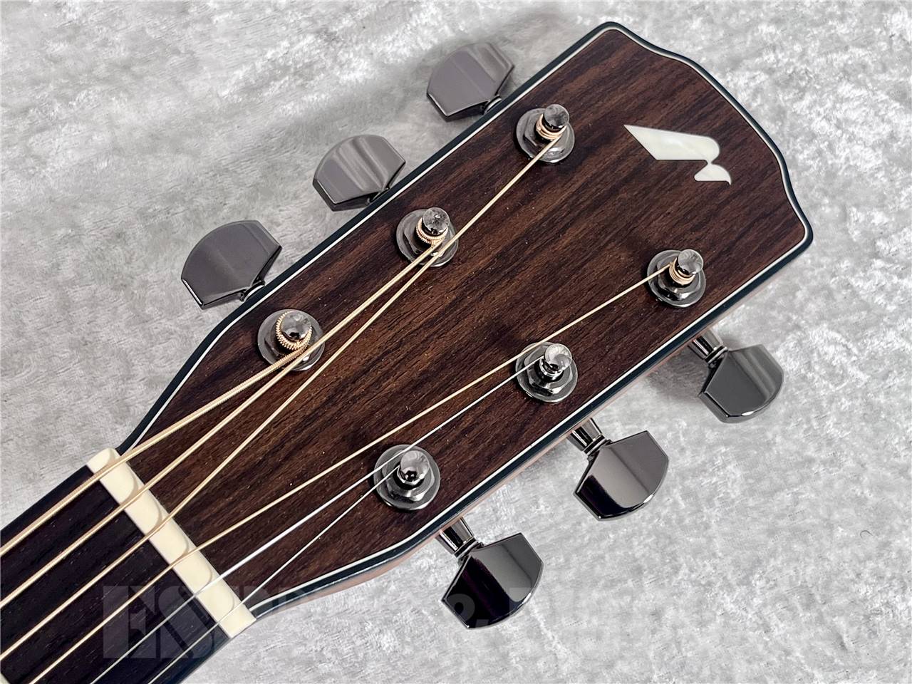 【即納可能】Morris(モーリス) R-14 Natural(NAT)（エレクトリックアコースティックギター） お茶の水駅前店・別館 - 6