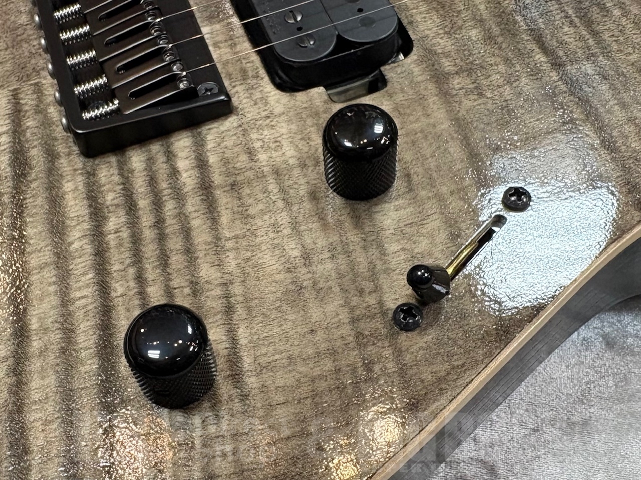 【即納可能】EDWARDS（エドワーズ）E-M-II CTM /Smoky Black  GWS - 5