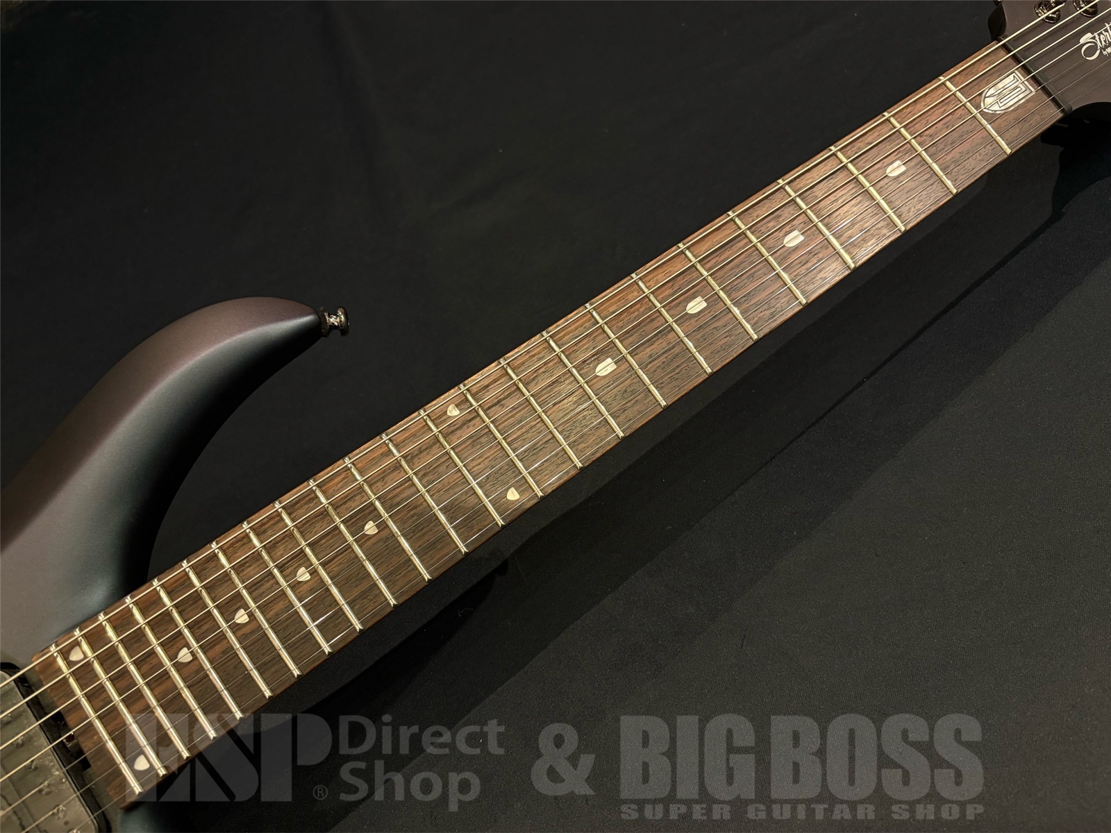 【即納可能】Sterling by MUSIC MAN(スターリンバイミュージックマン)MAJ170 / ARCTIC DREAM 京都店 - 5