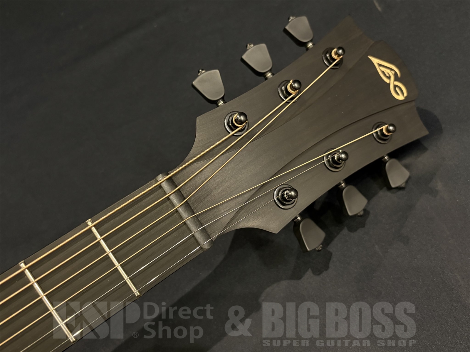 【即納可能】LAG Guitars(ラグギターズ) SAUVAGE-A 京都店 - 6