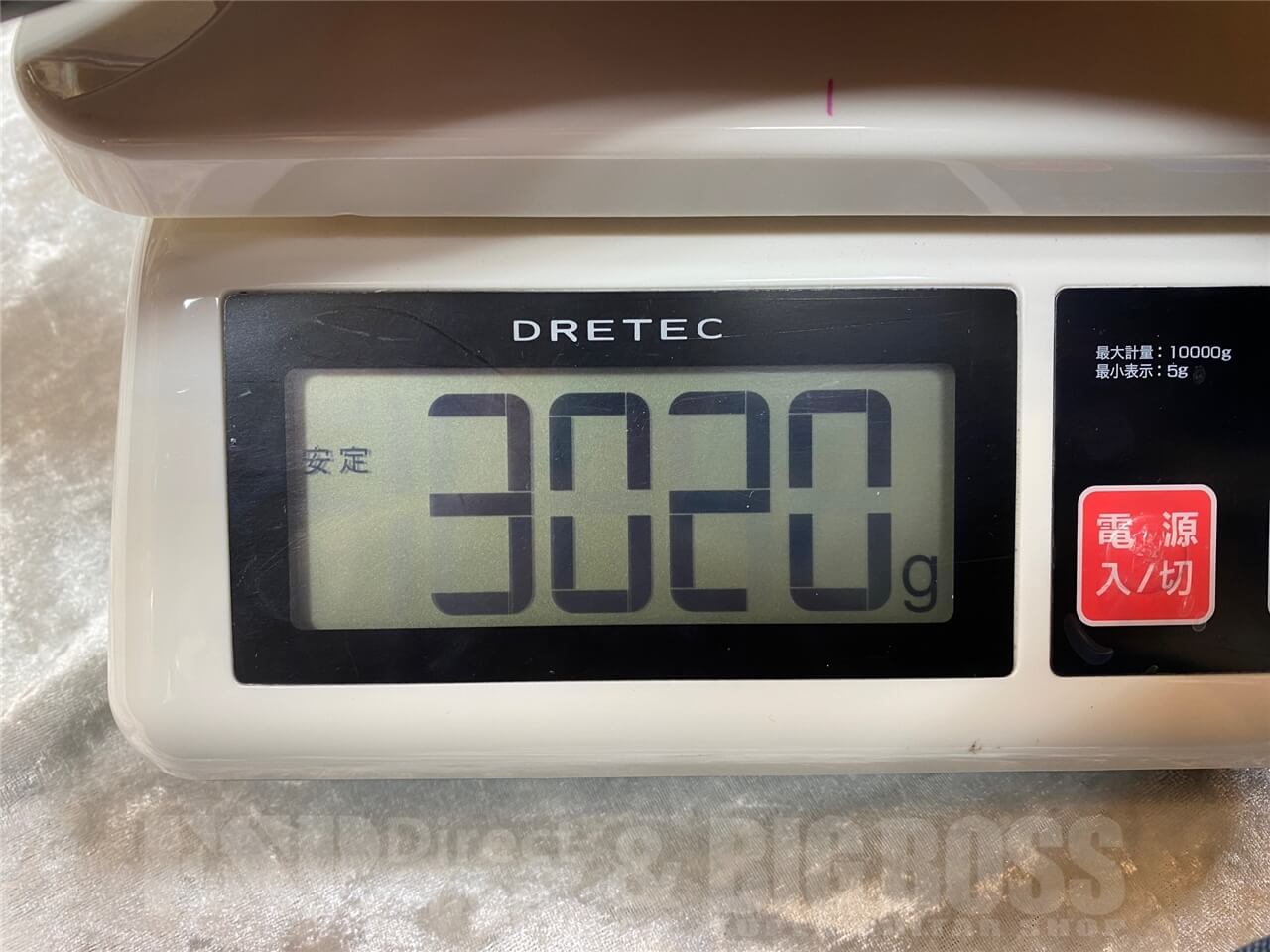 【即納可能】Greco WS-ADV-G /Sunburst GWS - 11