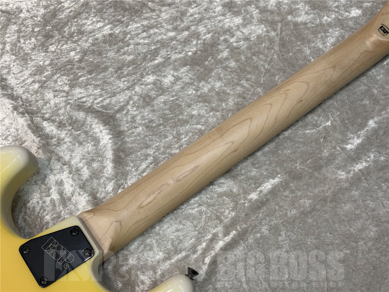 【即納可能】EDWARDS(エドワーズ) E-YELLOW TIGER (Yellow Tiger Graphic) (DOKKEN/George Lynchモデル) 広島店 - 7