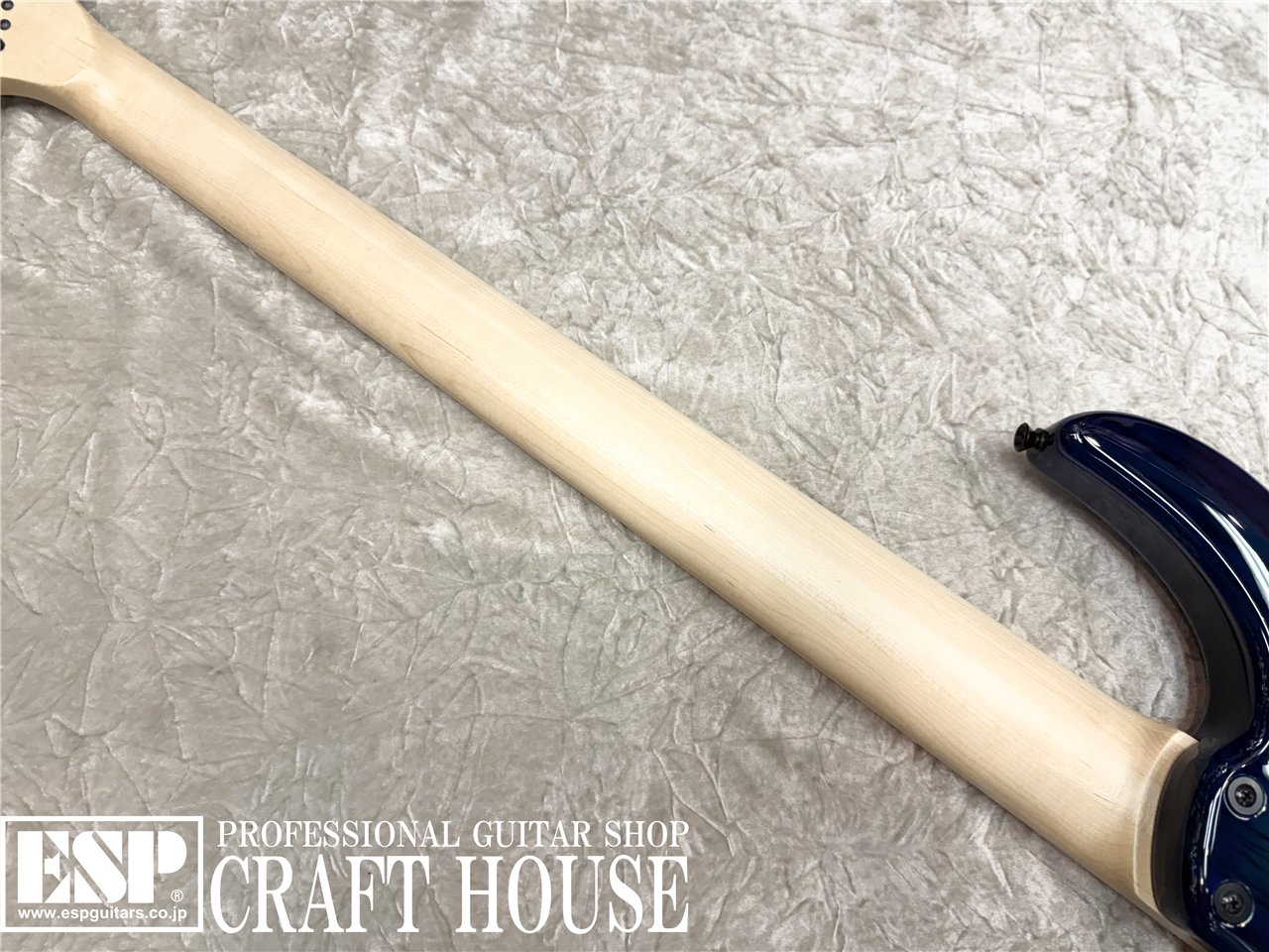 【即納可能】DINGWALL Combustion CC3 5st Quilt Maple Top / Whale Pool Burst　渋谷店 - 7