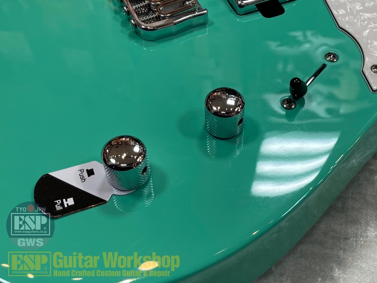 【即納可能】Balaguer Guitars Thicket Standard /Gloss Pastel Green GWS - 6