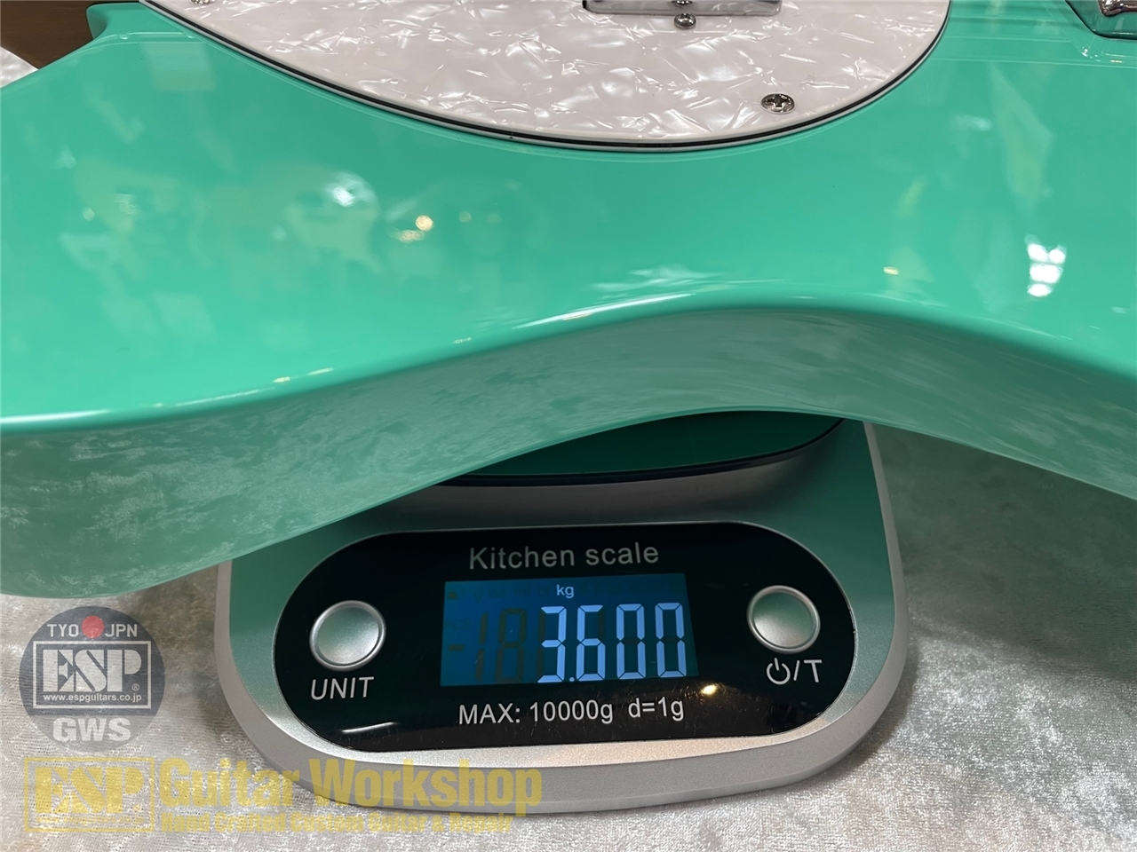 【即納可能】Balaguer Guitars Thicket Standard /Gloss Pastel Green GWS - 7