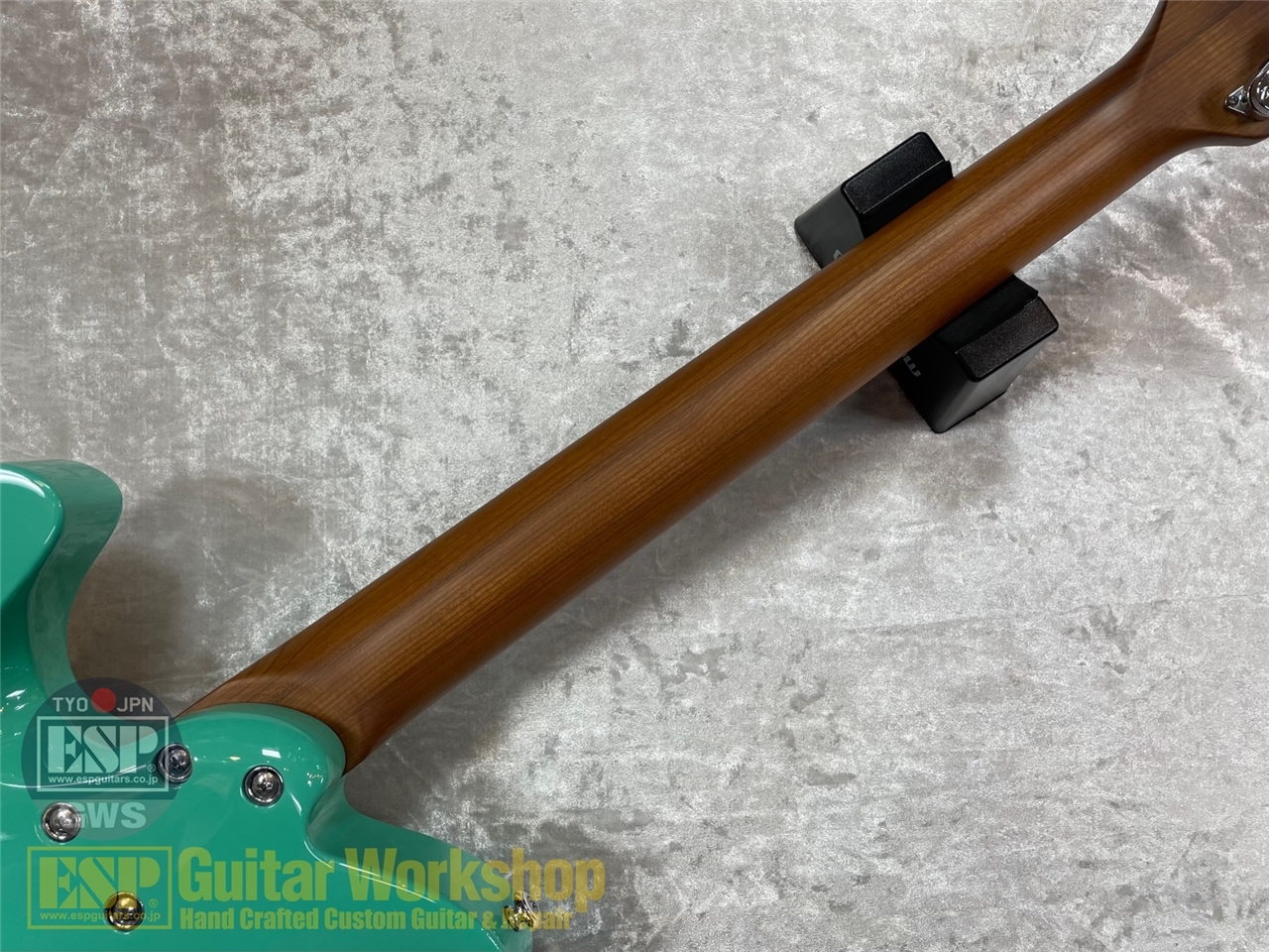 【即納可能】Balaguer Guitars Thicket Standard /Gloss Pastel Green GWS - 9