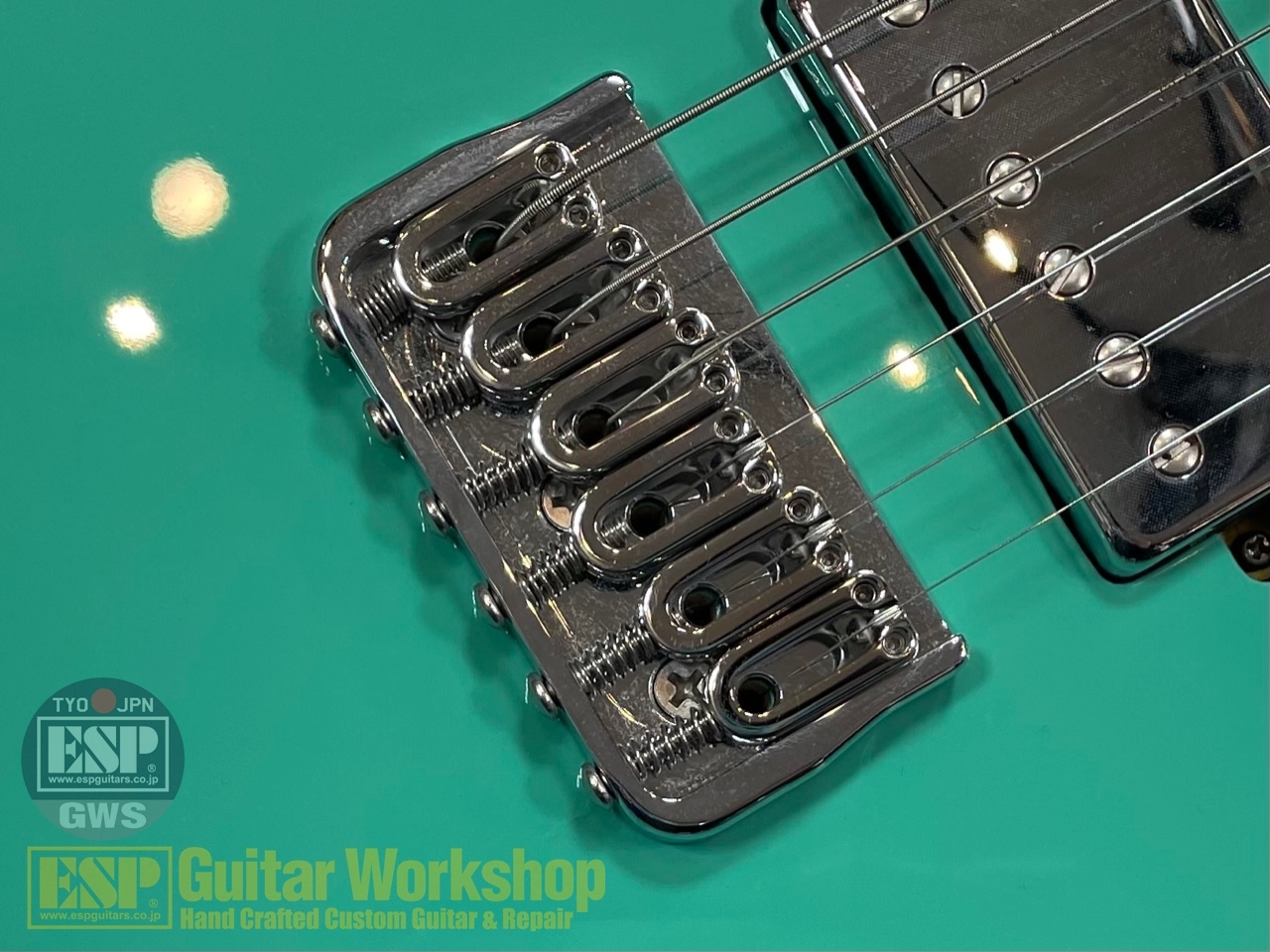 【即納可能】Balaguer Guitars Thicket Standard /Gloss Pastel Green GWS - 8