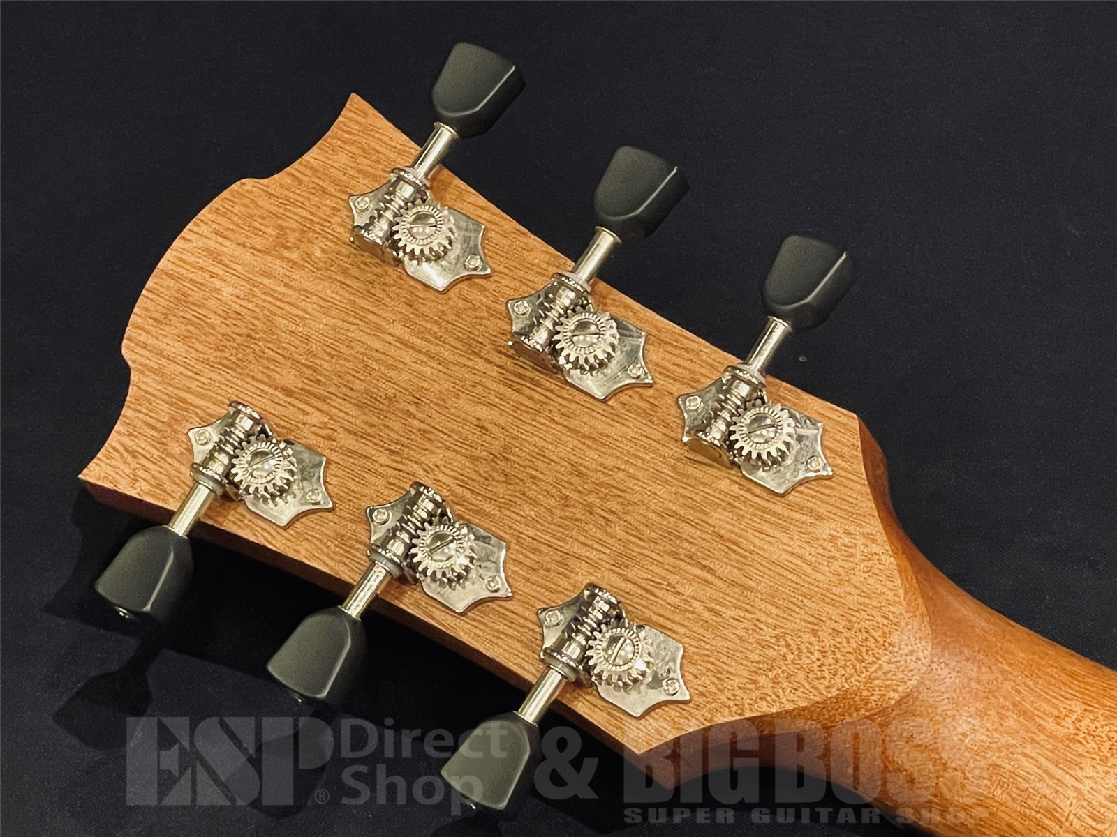 【即納可能】LAG Guitars (ラグギターズ ) T70A / BLACK & BROWN 京都店 - 11