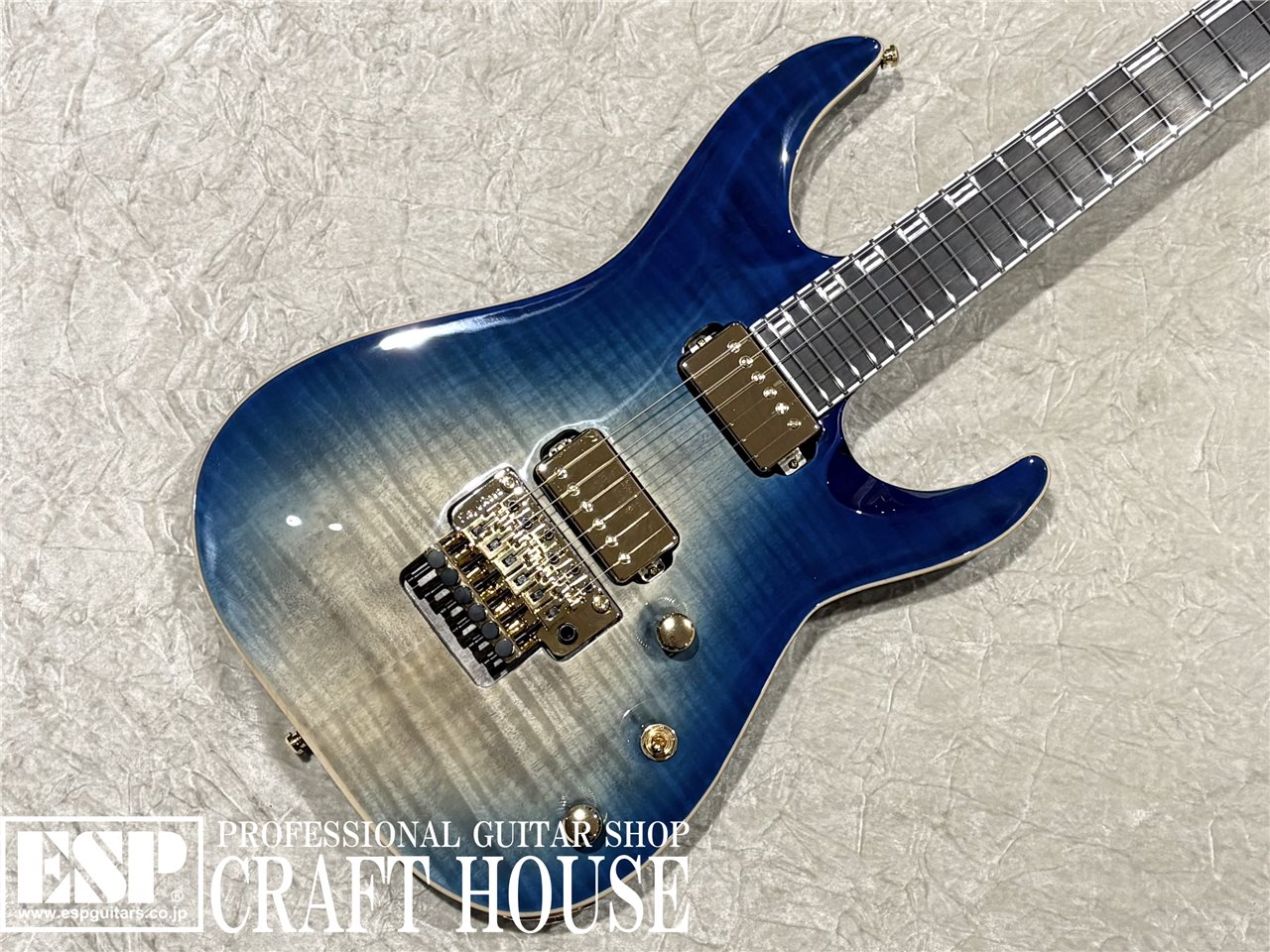 【即納可能】	EDWARDS E-HORIZON-CTM 50TH / Black Aqua Burst C / Blue Pearl Back 渋谷店 - 2