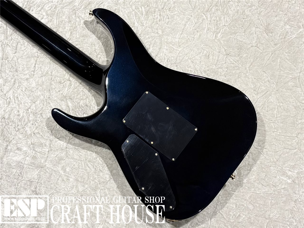 【即納可能】	EDWARDS E-HORIZON-CTM 50TH / Black Aqua Burst C / Blue Pearl Back 渋谷店 - 6