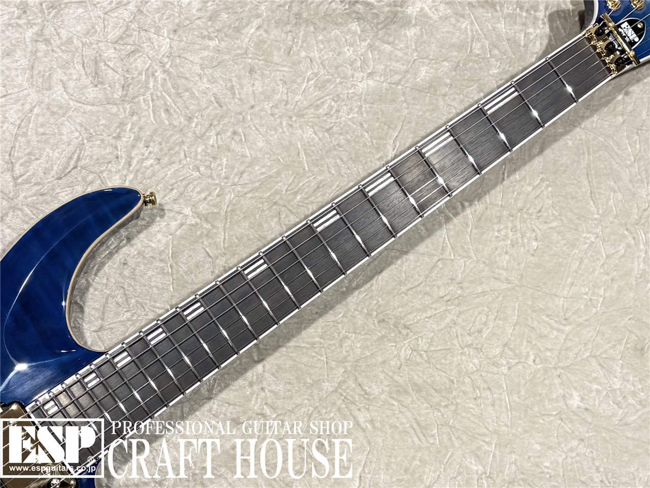 【即納可能】	EDWARDS E-HORIZON-CTM 50TH / Black Aqua Burst C / Blue Pearl Back 渋谷店 - 3