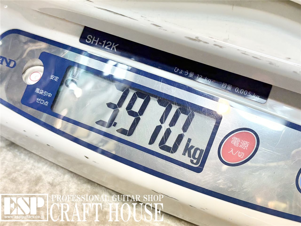 【即納可能】STELLA GEAR 	Albion / Pearl White 渋谷店 - 9