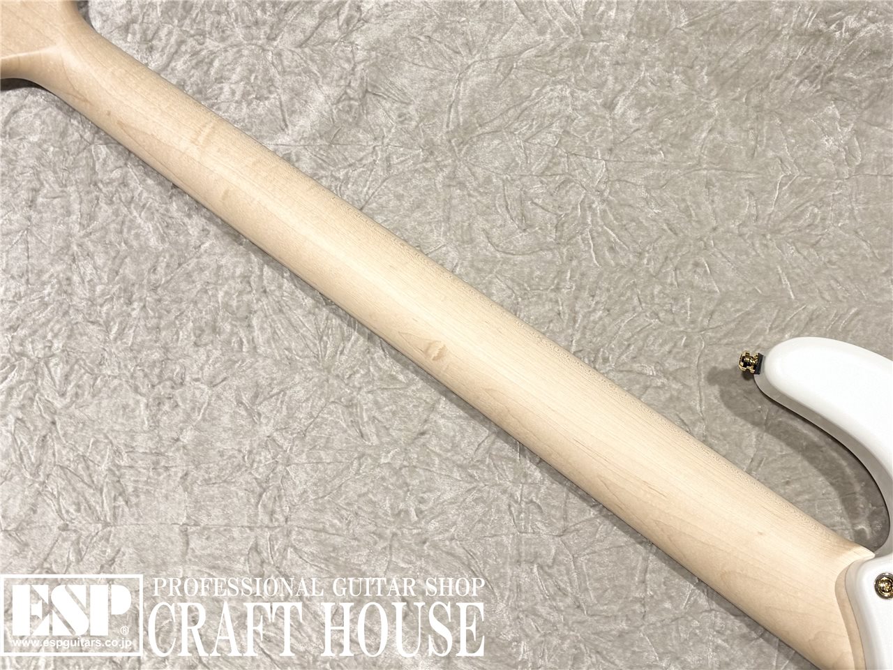 【即納可能】STELLA GEAR 	Albion / Pearl White 渋谷店 - 7