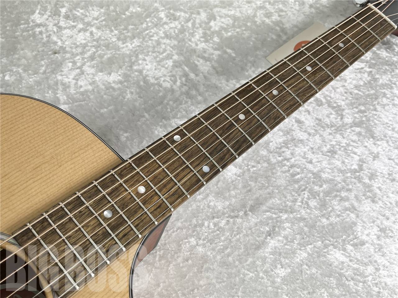 【即納可能】Eastman(イーストマン) PCH1-GACE (エレクトリック・アコースティック)お茶の水駅前店・別館 - 5