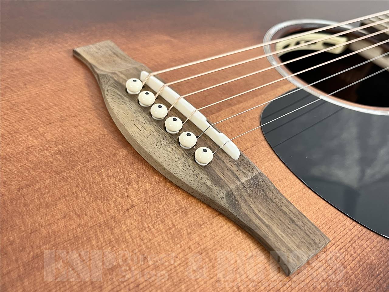 【即納可能】Eastman(イーストマン) PCH1-GACE-CLA (エレクトリック・アコースティック)お茶の水駅前店・別館 - 3