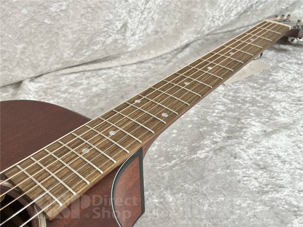 【即納可能】Eastman(イーストマン) PCH1-GACE-CLA (エレクトリック・アコースティック)お茶の水駅前店・別館 - 5