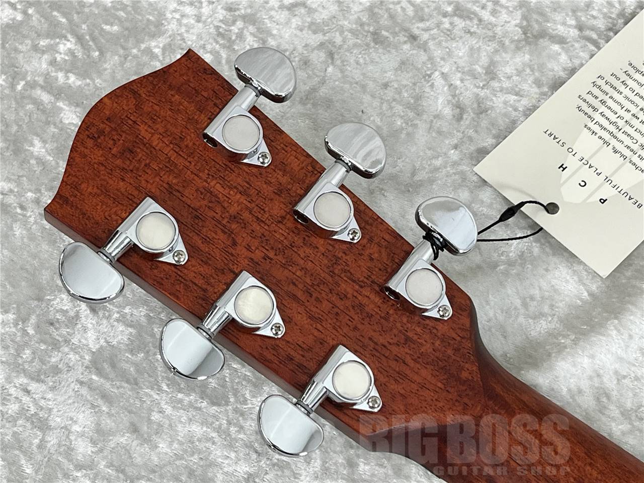 【即納可能】Eastman(イーストマン) PCH1-GACE-CLA (エレクトリック・アコースティック)お茶の水駅前店・別館 - 9