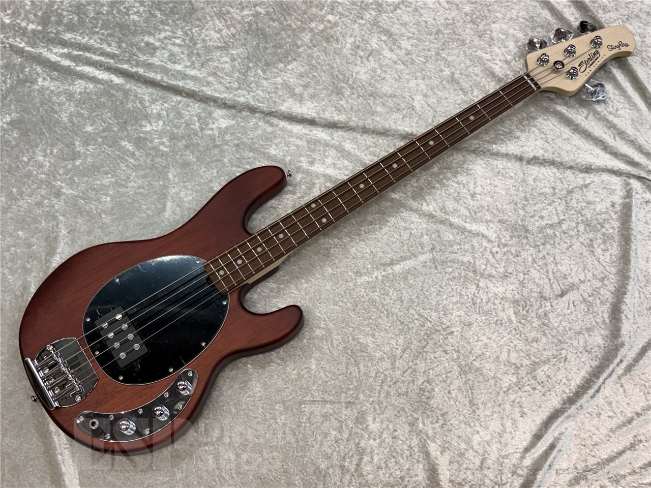 【即納可能】Sterling by MUSIC MAN SUB RAY4 (Walnat Satin) 広島店