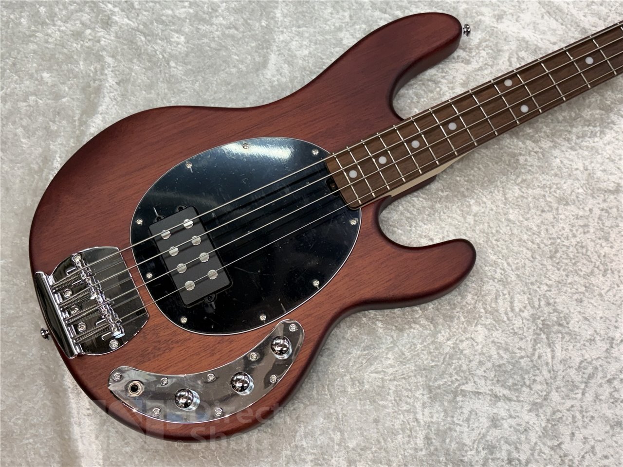 【即納可能】Sterling by MUSIC MAN SUB RAY4 (Walnat Satin) 広島店 - 2