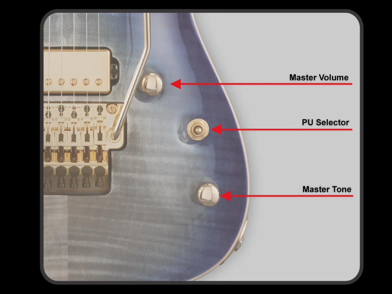 【即納可能】EDWARDS(エドワーズ) E-HORIZON-CTM 50TH (Black Aqua Burst C / Blue Pearl Back)お茶の水駅前店(東京) - 10