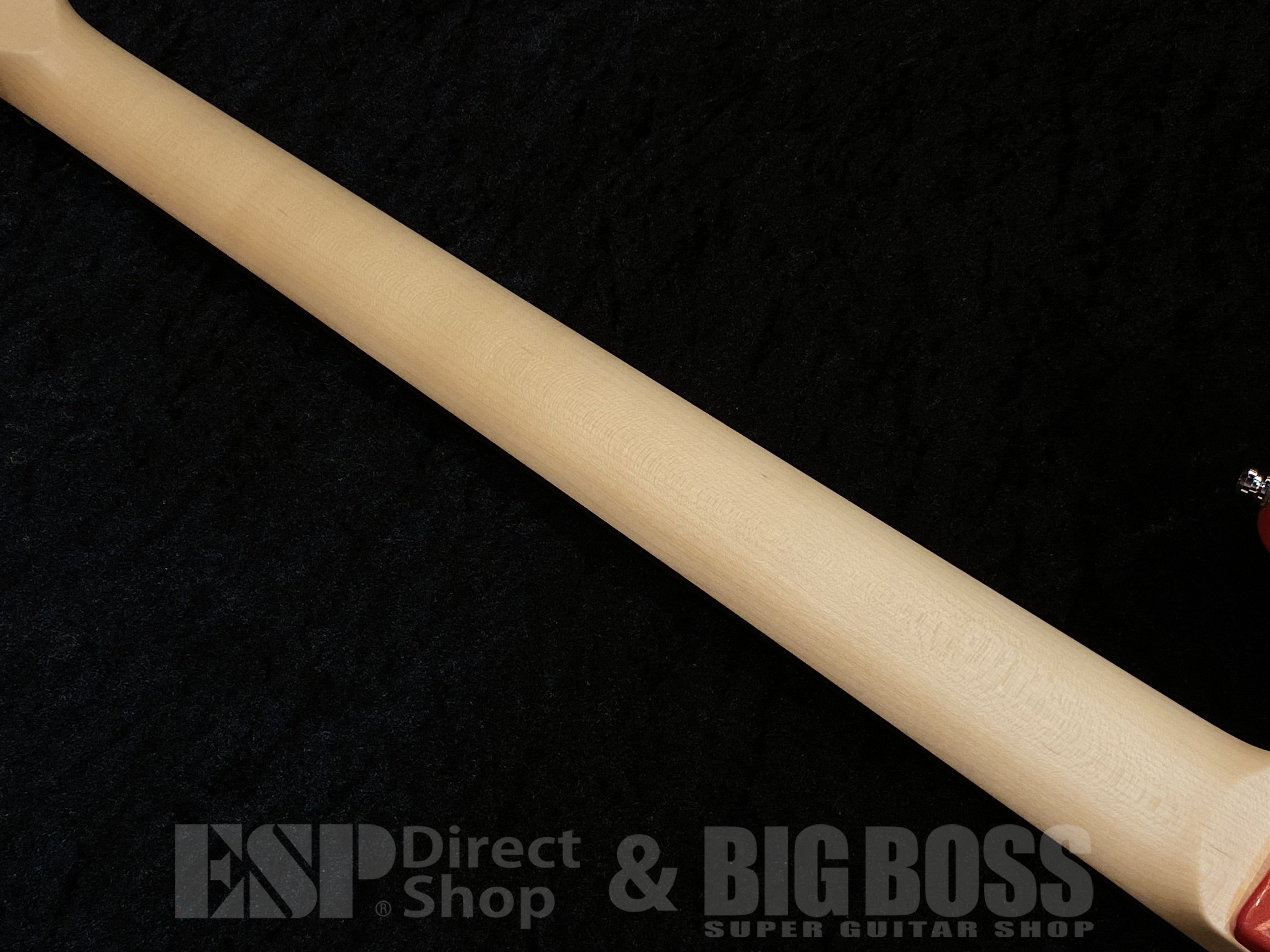 【即納可能】STELLA GEAR(ステラギア) BASS V【Sparkling Fiesta Red】 (L’Arc～en～Ciel tetsuyaモデル) 福岡店 - 12