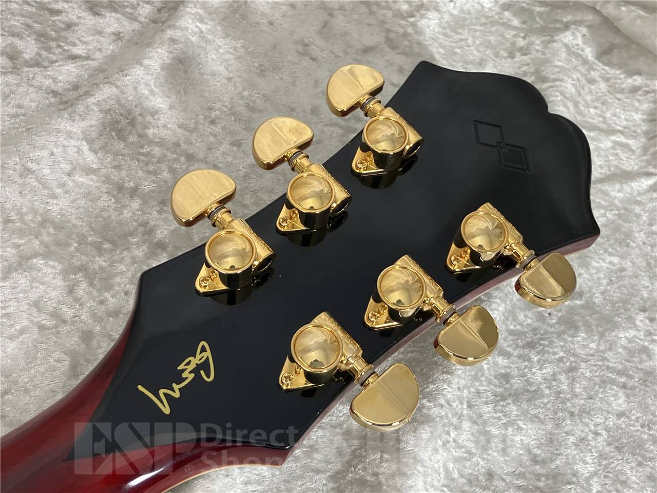 【即納可能】Epiphone ( エピフォン ) Masterbilt Gem Archer Sheraton (エレキギター) お茶の水駅前店・別館 - 10