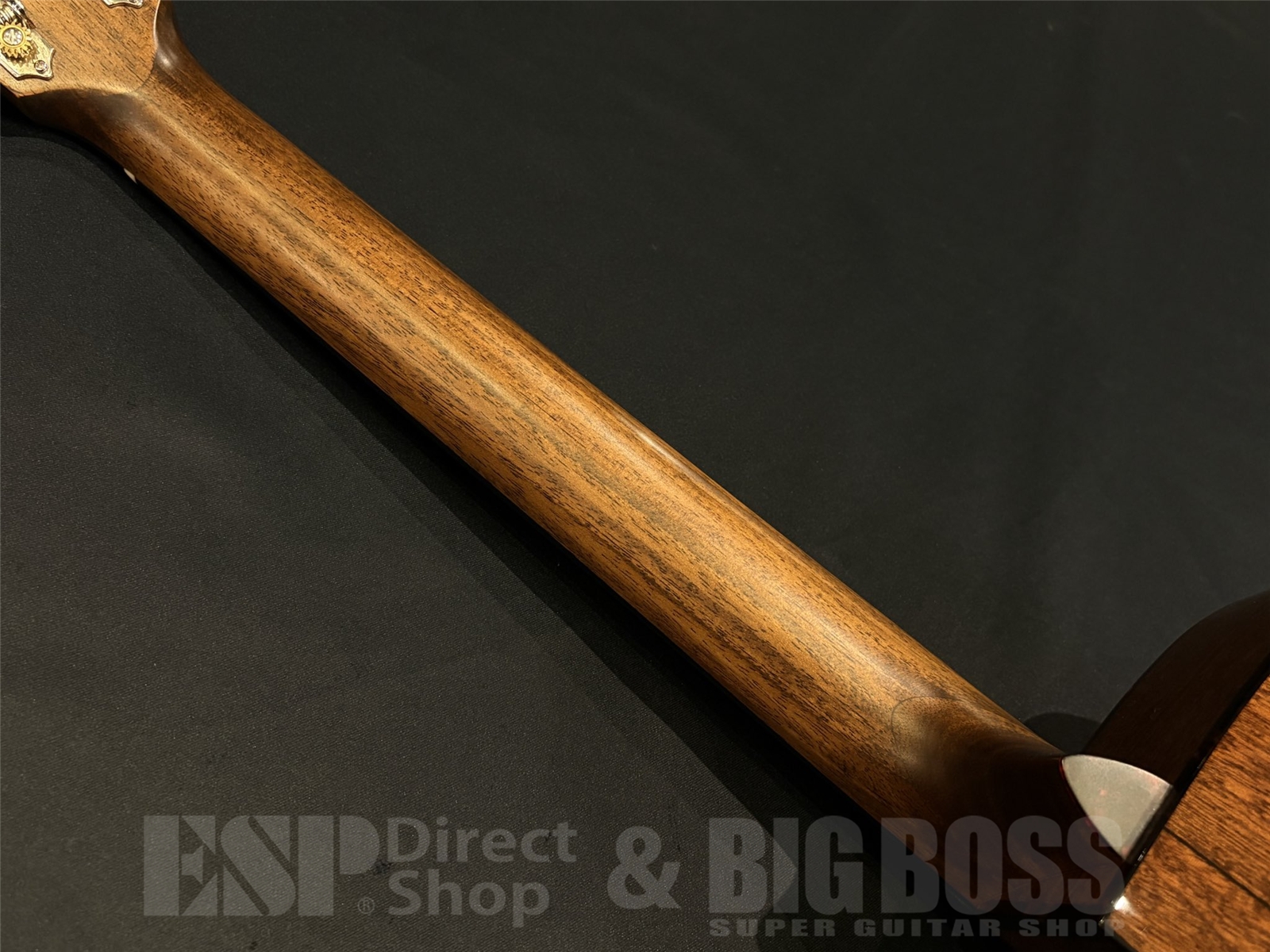 【USED / 即納可能】Eastman(イーストマン) E1-OMCE-SP 京都店 - 10