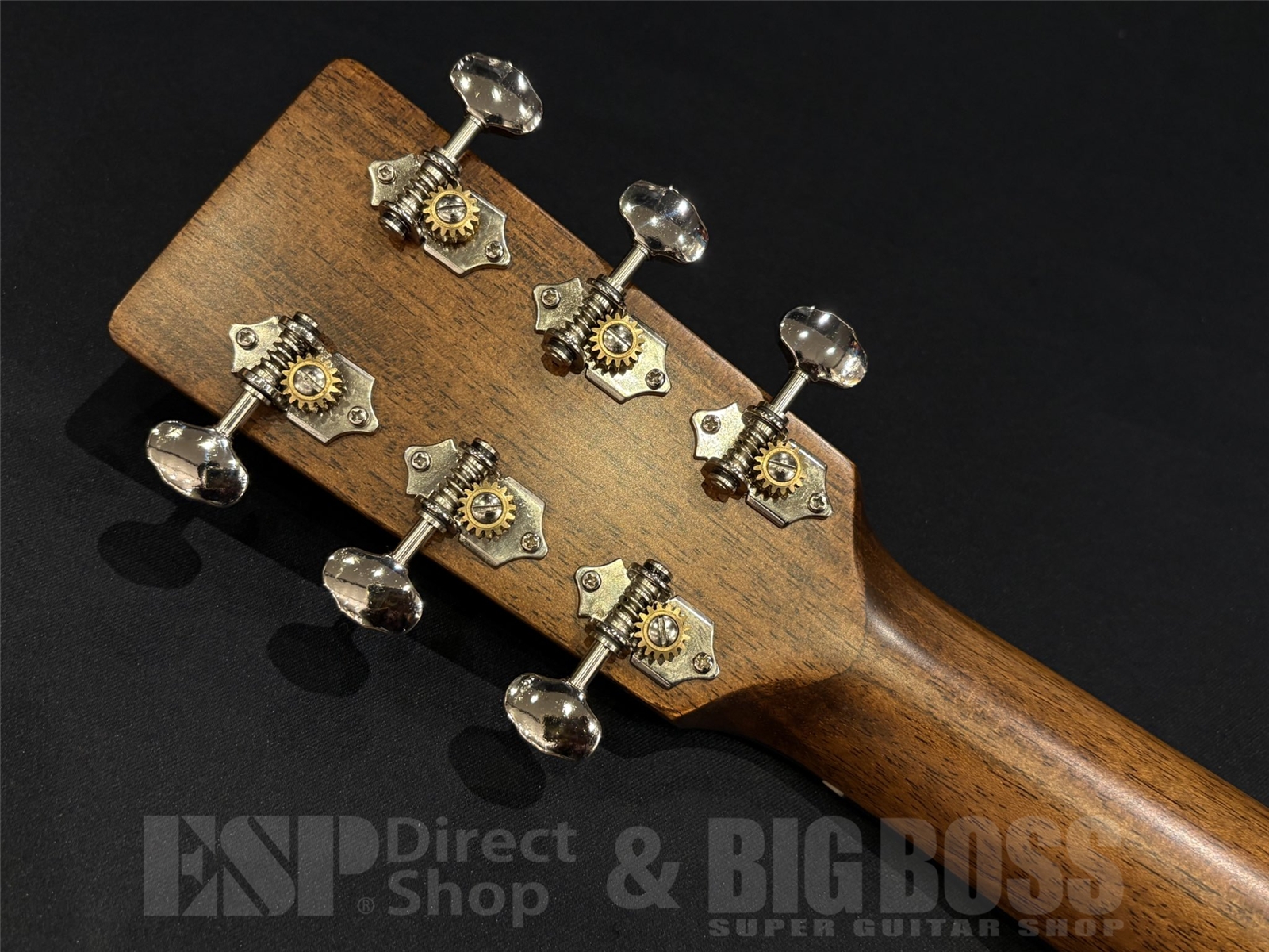 【USED / 即納可能】Eastman(イーストマン) E1-OMCE-SP 京都店 - 11