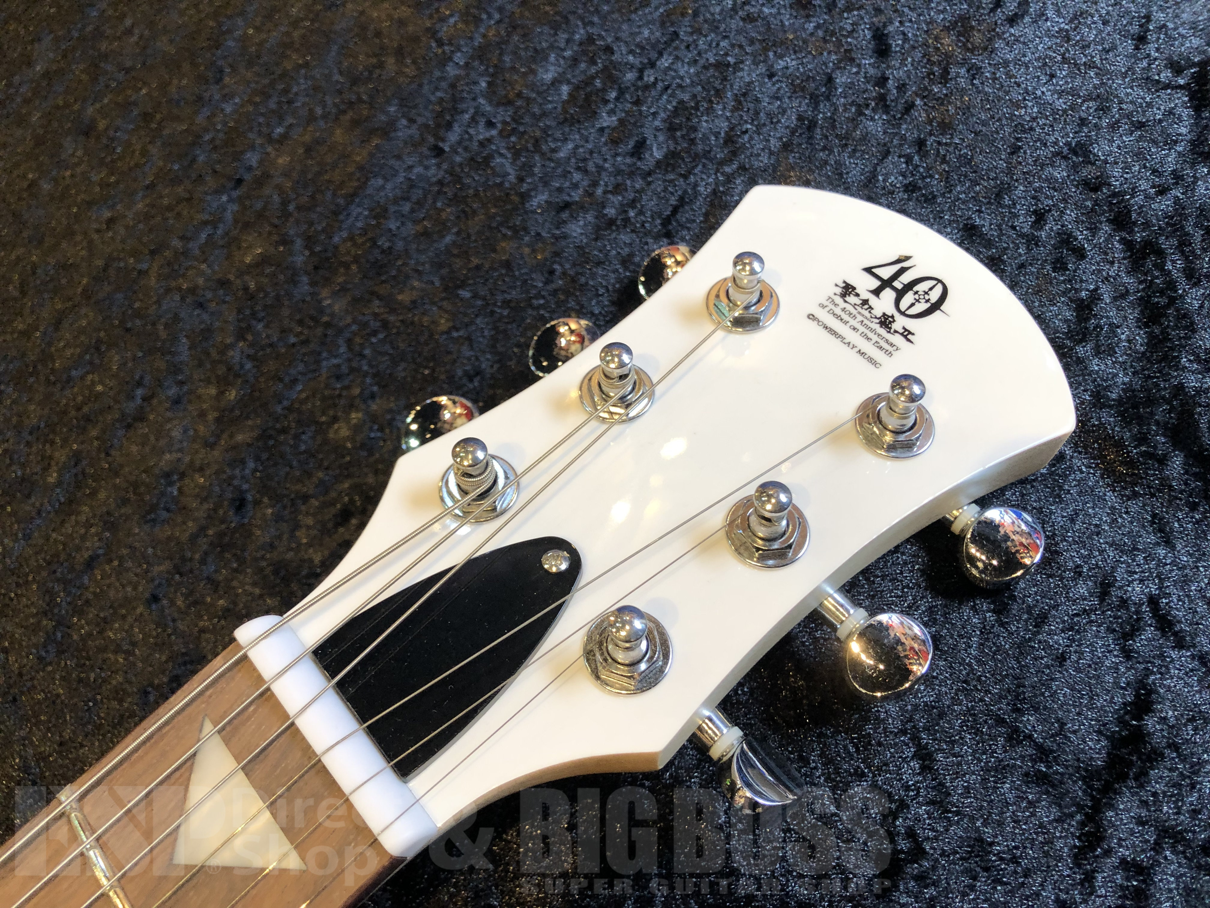 【即納可能】 PIGNOSE（ピグノーズ）PGG-JAIL 【ROCK】　福岡店 - 4