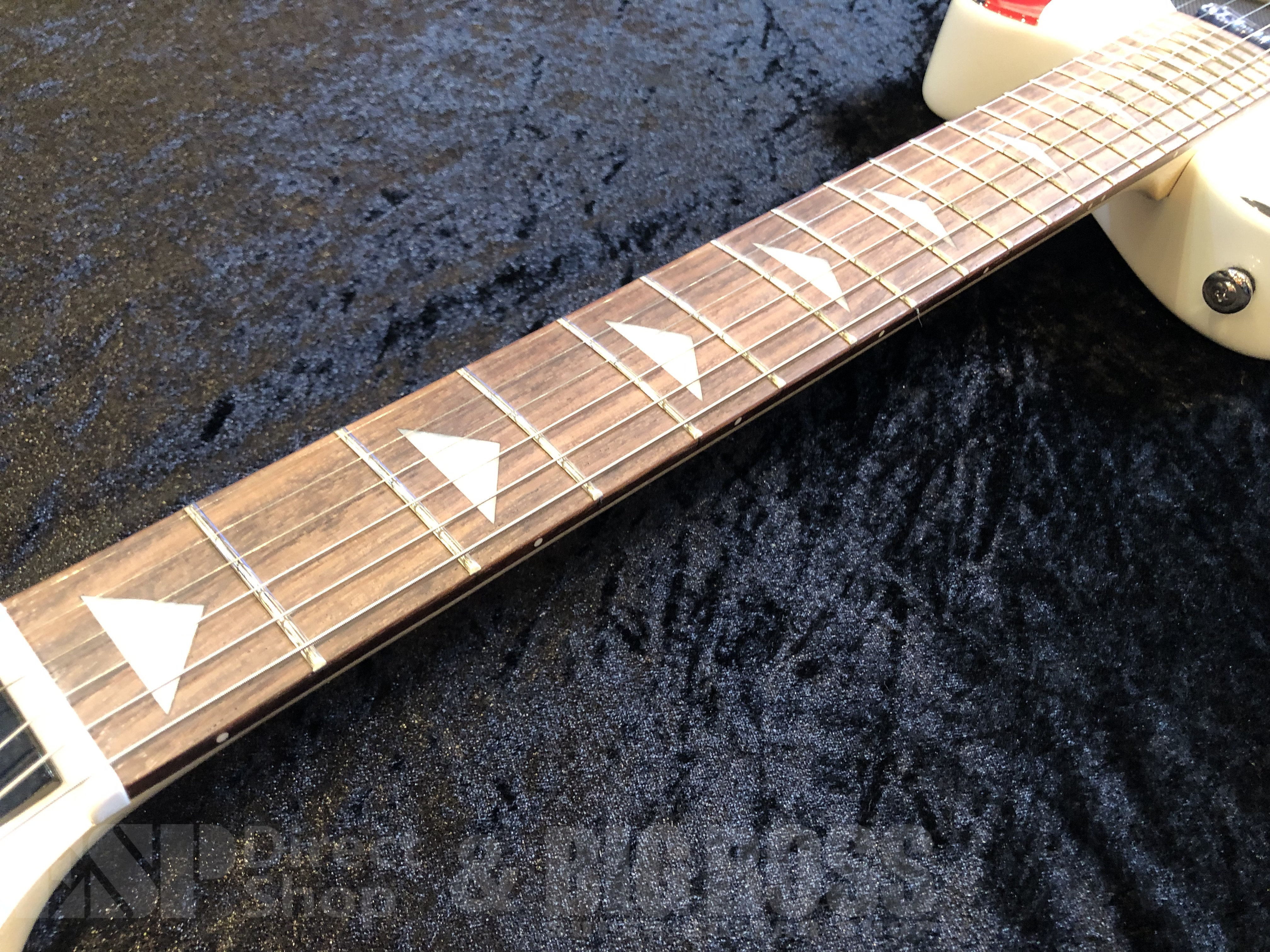 【即納可能】 PIGNOSE（ピグノーズ）PGG-JAIL 【ROCK】　福岡店 - 5