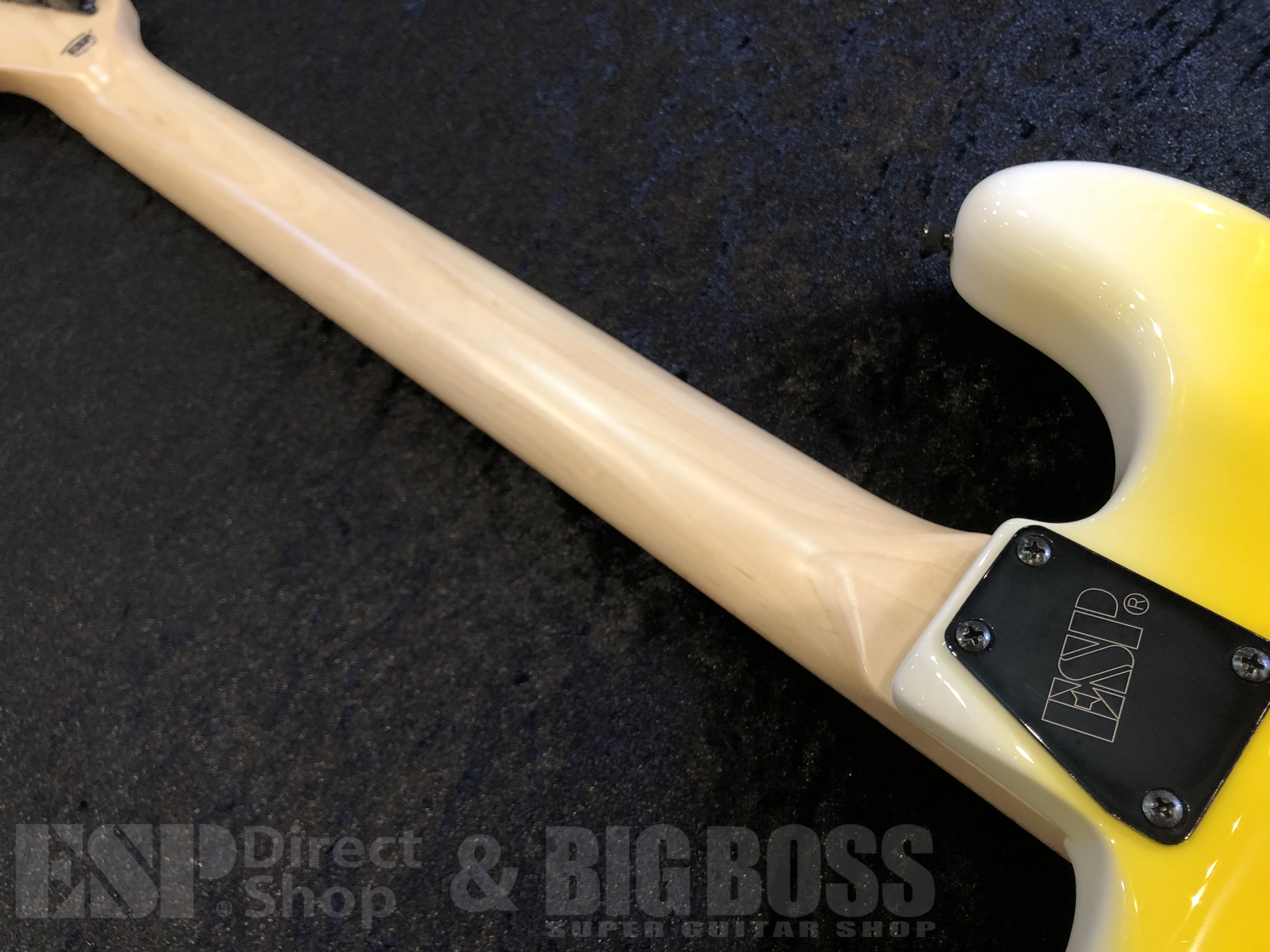 【USED/即納可能】EDWARDS (エドワーズ) E-YELLOW TIGER / Yellow Tiger Graphic (DOKKEN/George Lynchモデル) 福岡店 - 8