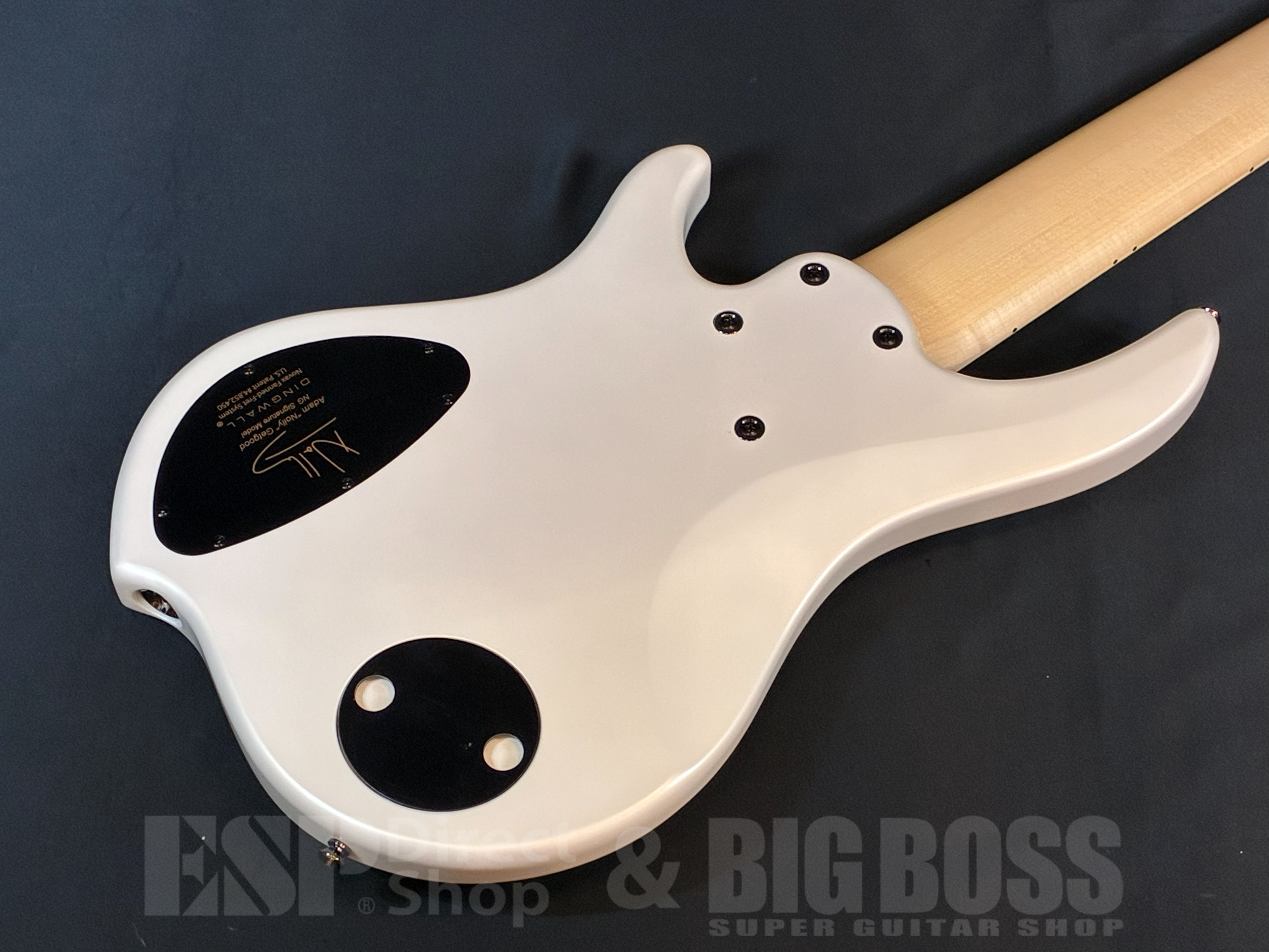 【即納可能】DINGWALL (ディングウォール) NG-3 6st / Ducati Pearl White 大阪店 - 6