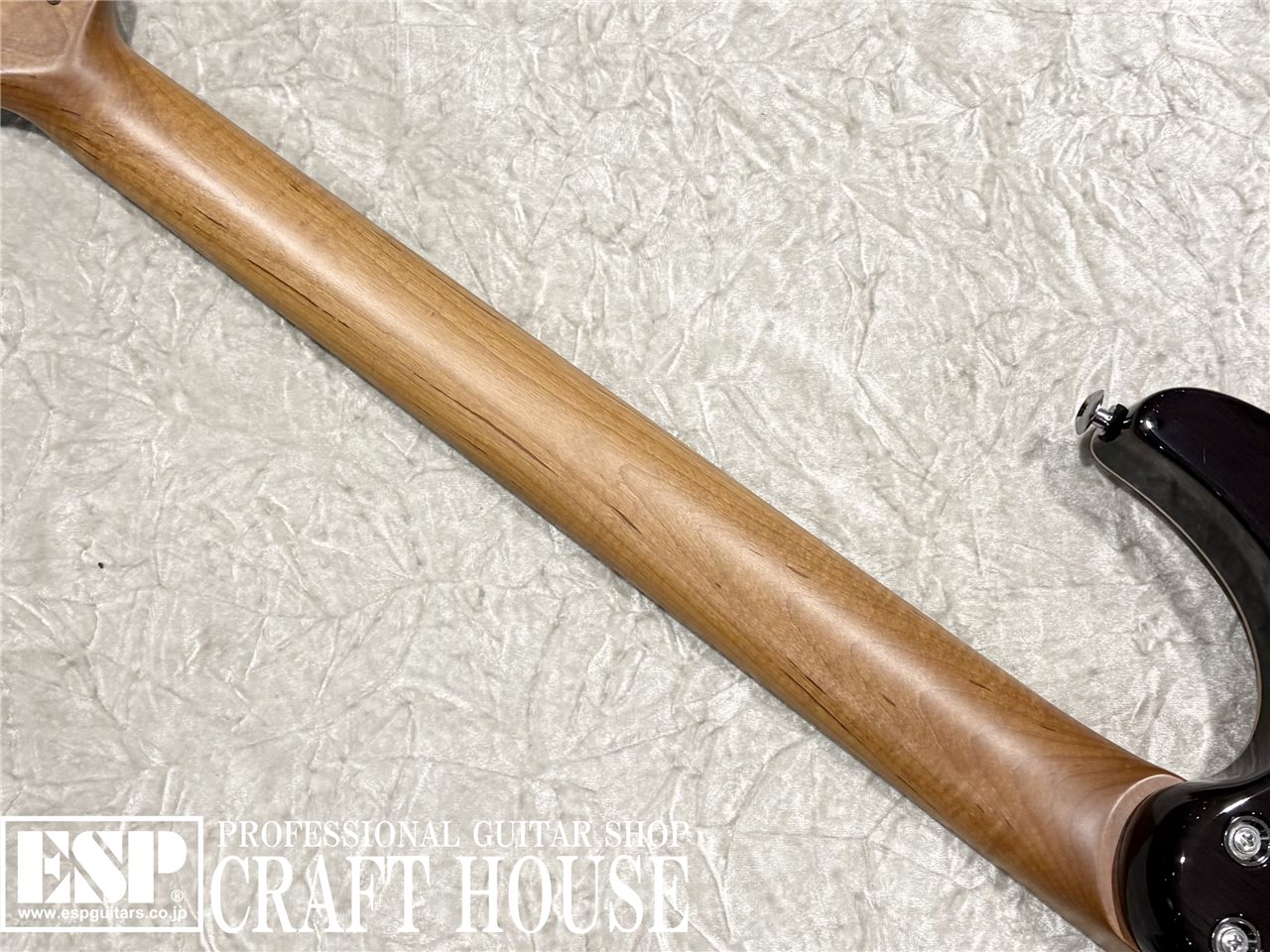 【即納可能】Suhr Modern Plus Ash HH / Bengal Burst　渋谷店 - 6