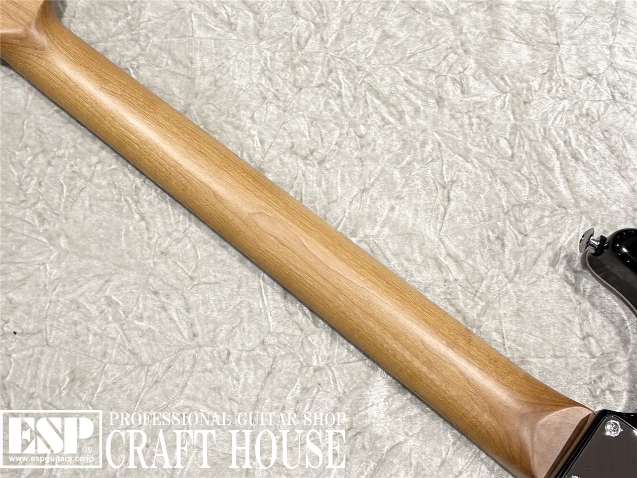 【即納可能】Suhr Standard Plus SSH / Bahama Blue　渋谷店 - 7