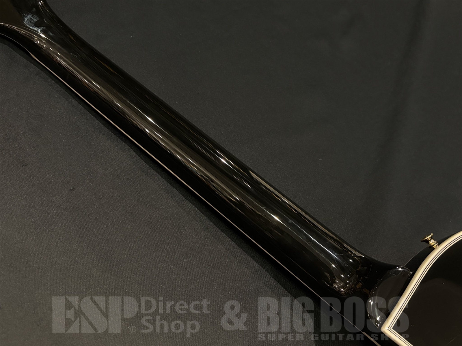 【即納可能】EDWARDS(エドワーズ) E-LP-CTM / Black 京都店 - 10