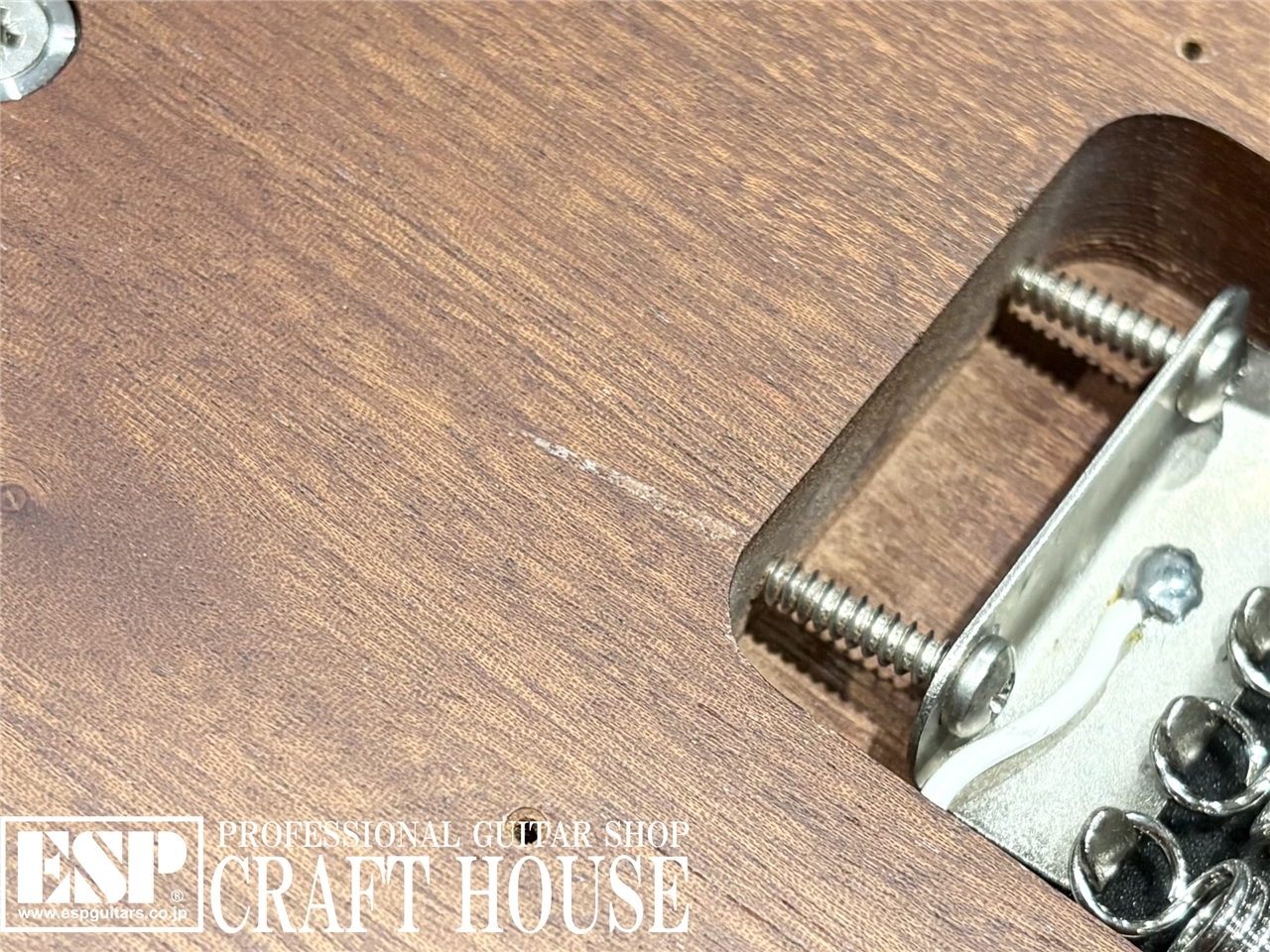 【即納可能】Skervesen Swan 7 渋谷店 - 9