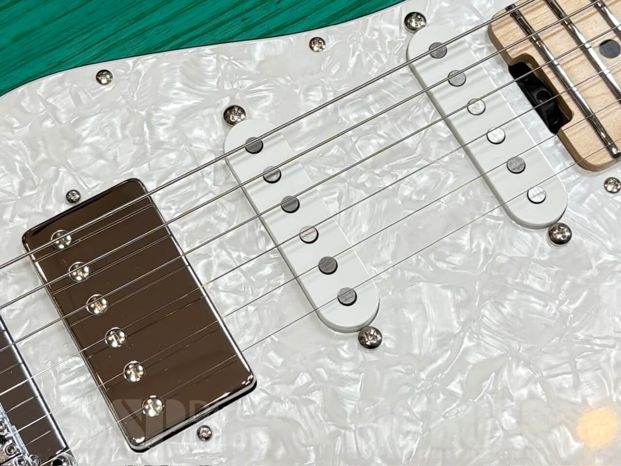 【即納可能】EDWARDS E-SNAPPER-AS/M /Turquoise GWS - 4