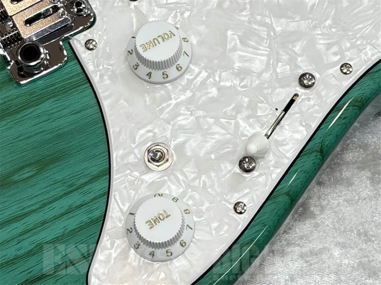 【即納可能】EDWARDS E-SNAPPER-AS/M /Turquoise GWS - 5