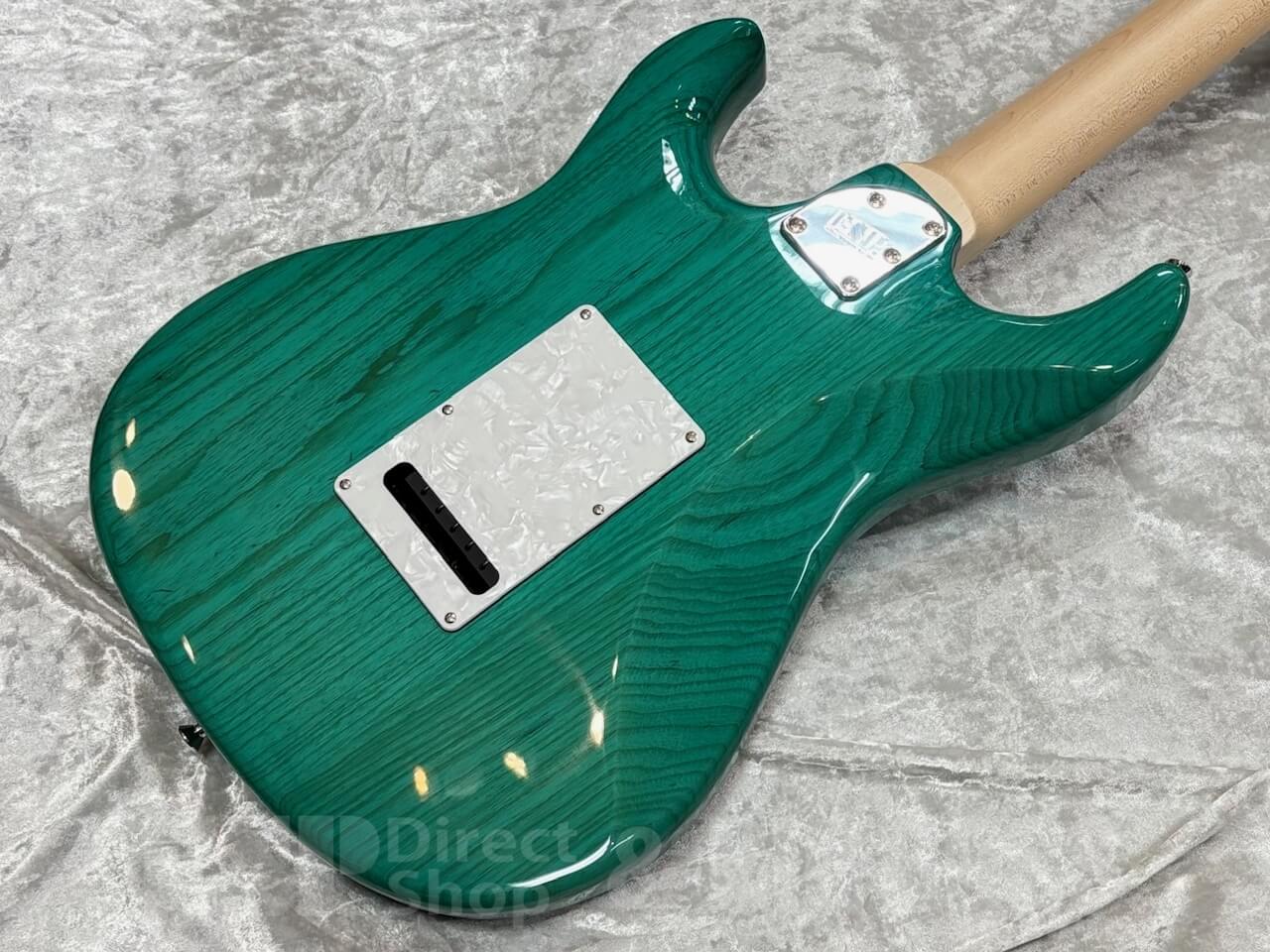 【即納可能】EDWARDS E-SNAPPER-AS/M /Turquoise GWS - 9