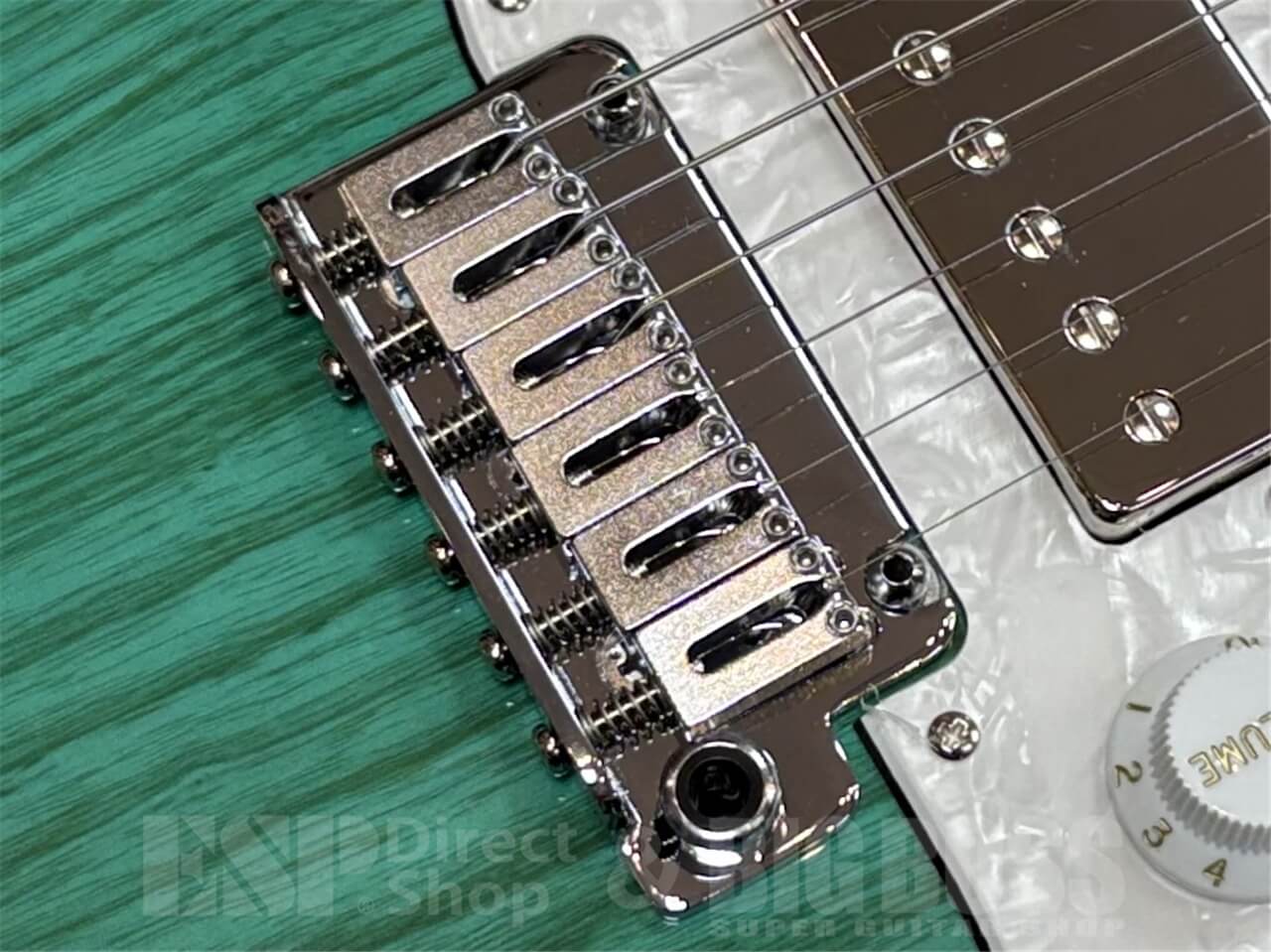 【即納可能】EDWARDS E-SNAPPER-AS/M /Turquoise GWS - 3