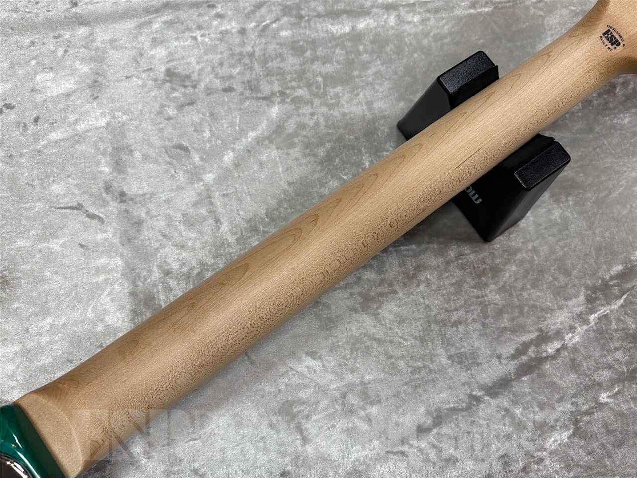 【即納可能】EDWARDS E-SNAPPER-AS/M /Turquoise GWS - 10